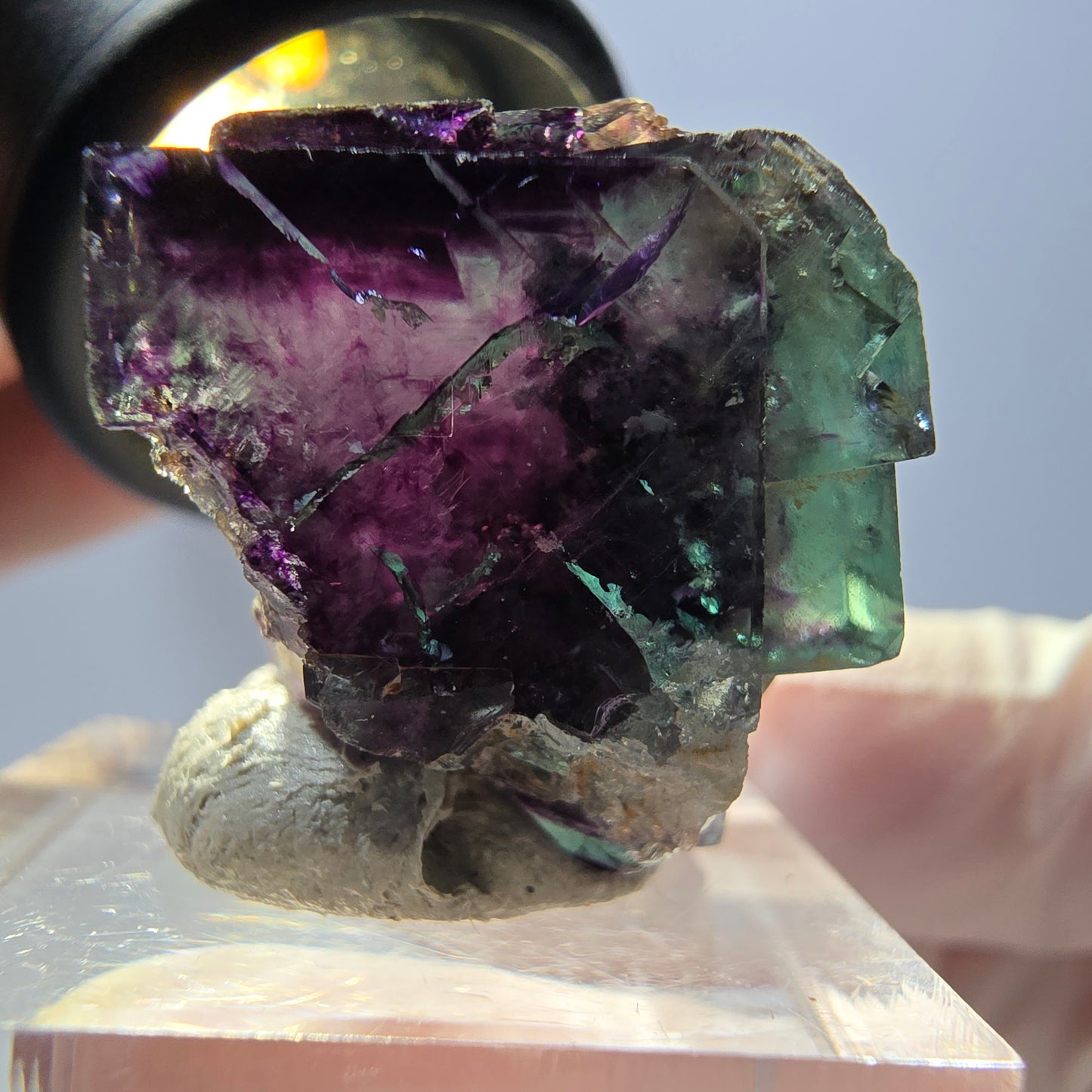 Spécimen de cube de fluorite fantôme, parqueté vert violet Okorusu, Namibie 22 x 20 x 19 mm