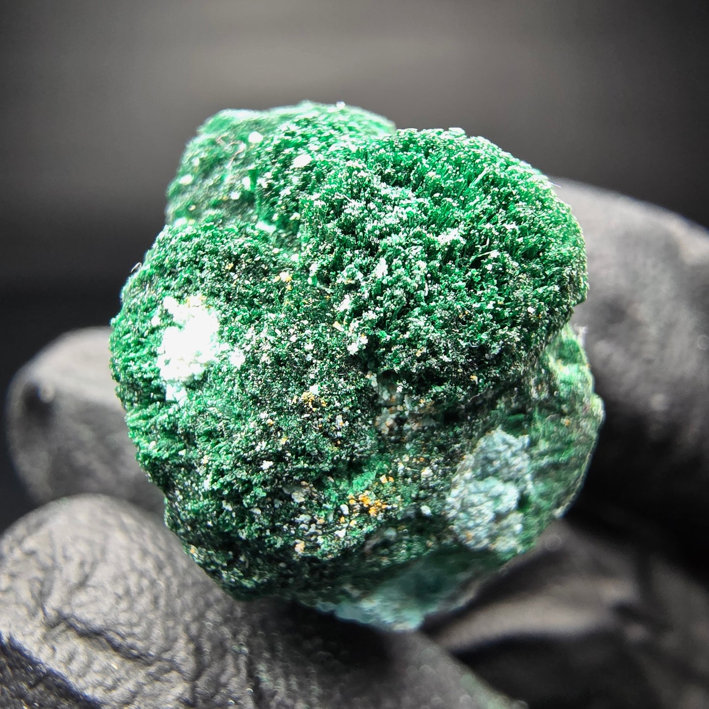 Seltene Malachit, Chrysokoll Stufe Kaokoveld, Namibia 25*20*17mm Sammlung
