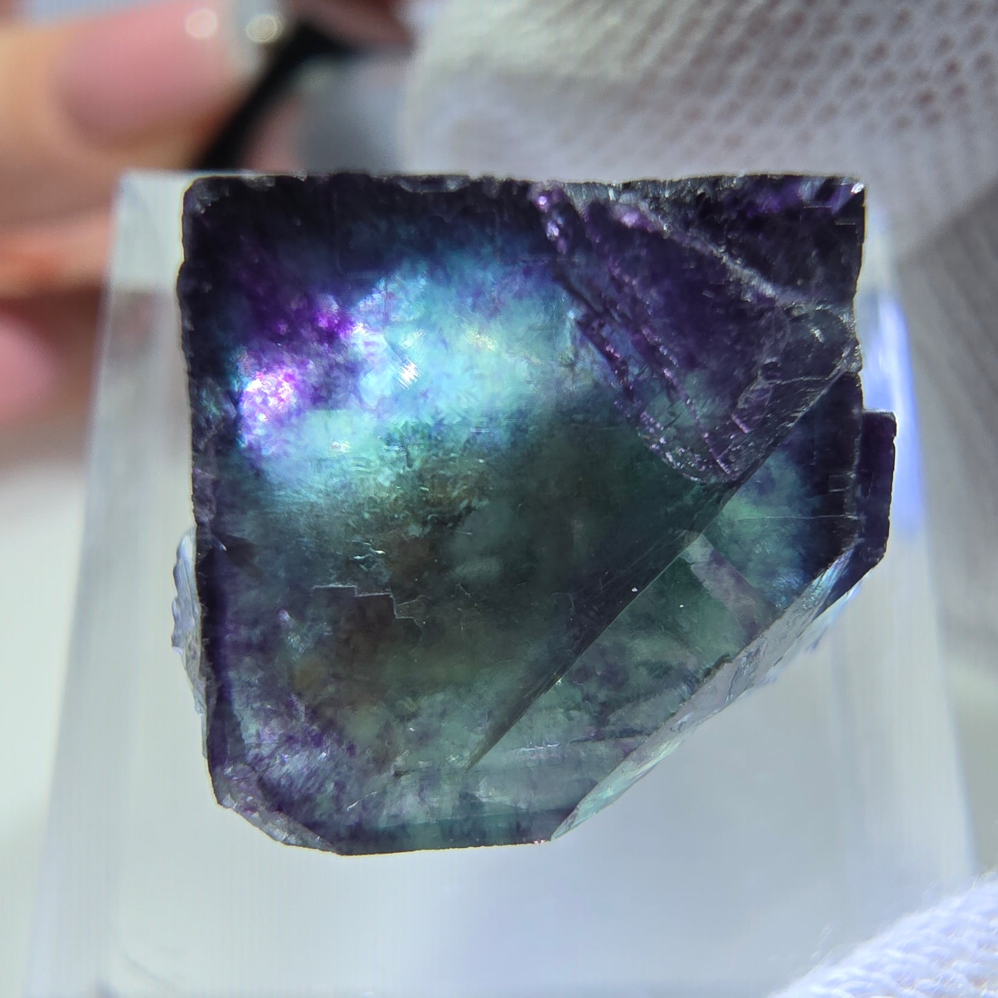 Rare spécimen de cube de fluorite fantôme, vert-violet zonal, Okorusu, Namibie, 19 x 17 x 14 mm