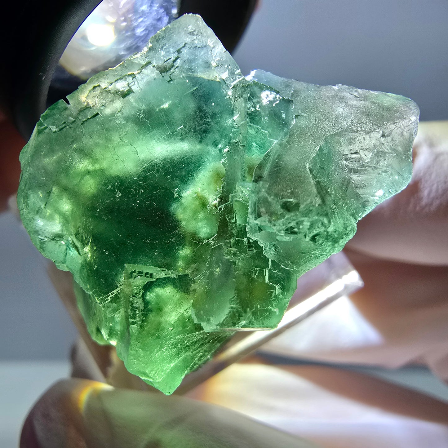 Spécimen de cube de fluorite fantôme, parquet vert Okorusu, Namibie 35*26*24 mm
