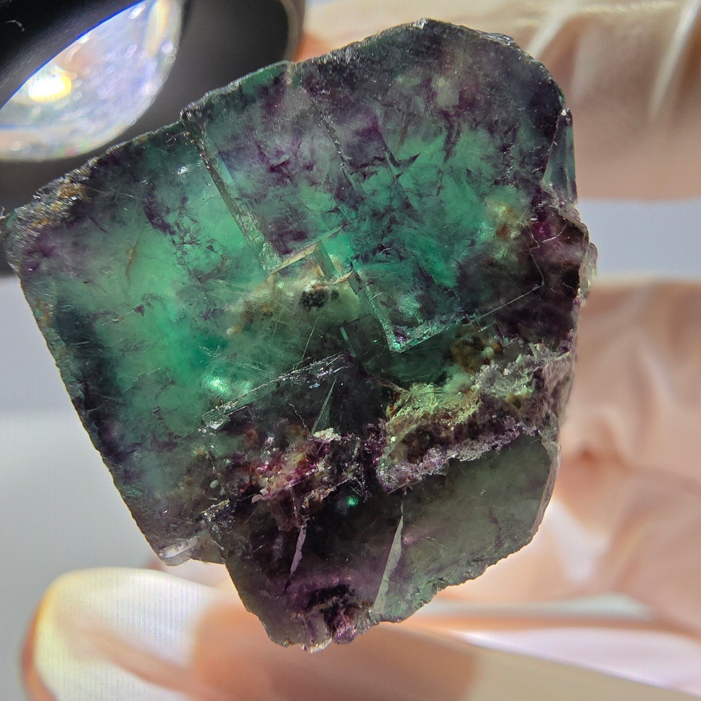 Phantom Fluorit Würfel Stufe, parkettiert grün lila Okorusu, Namibia 24*23*19mm