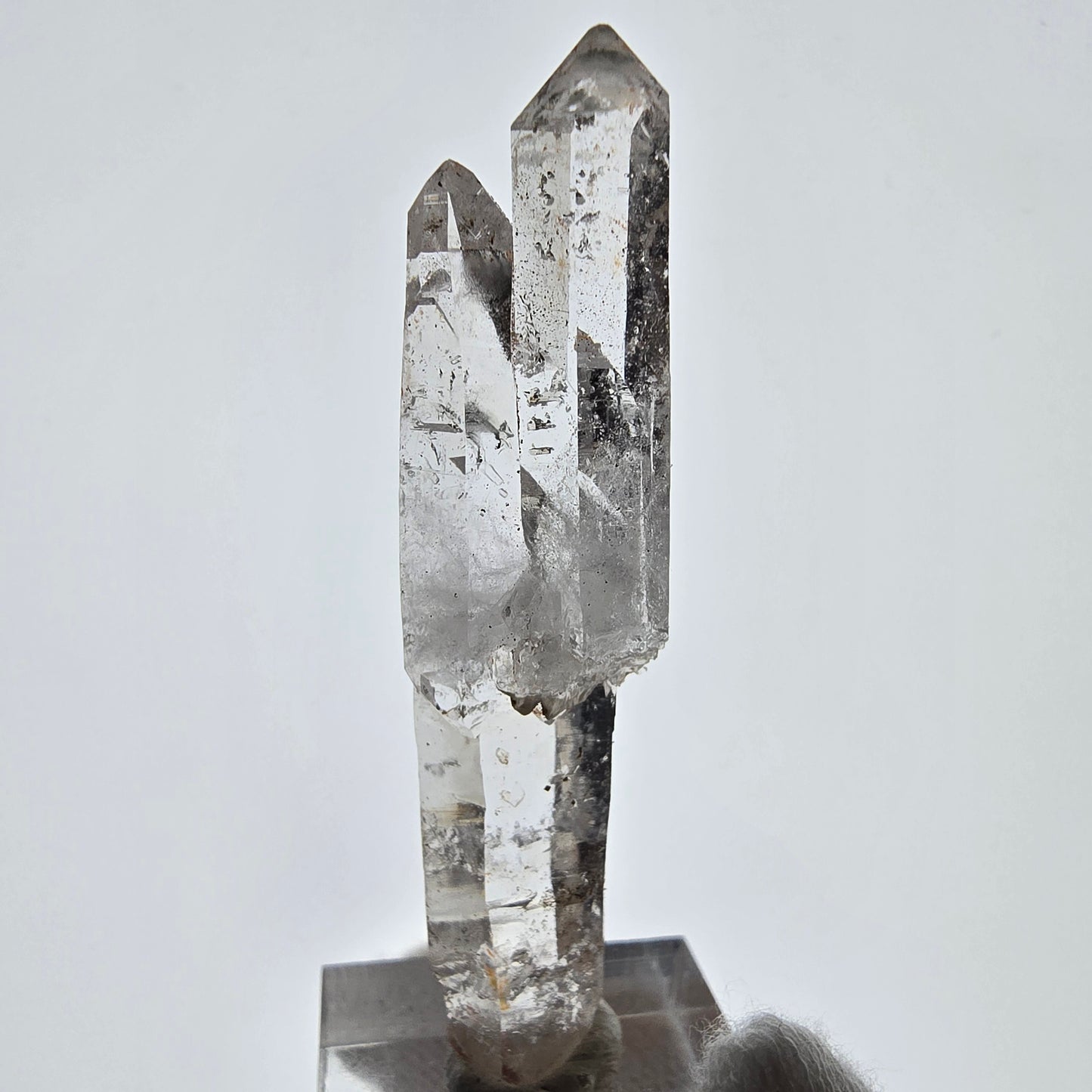 Skeleton Phantom Smoky Quartz DT Scepter Valentine Pocket, Namibia 65*14*12mm