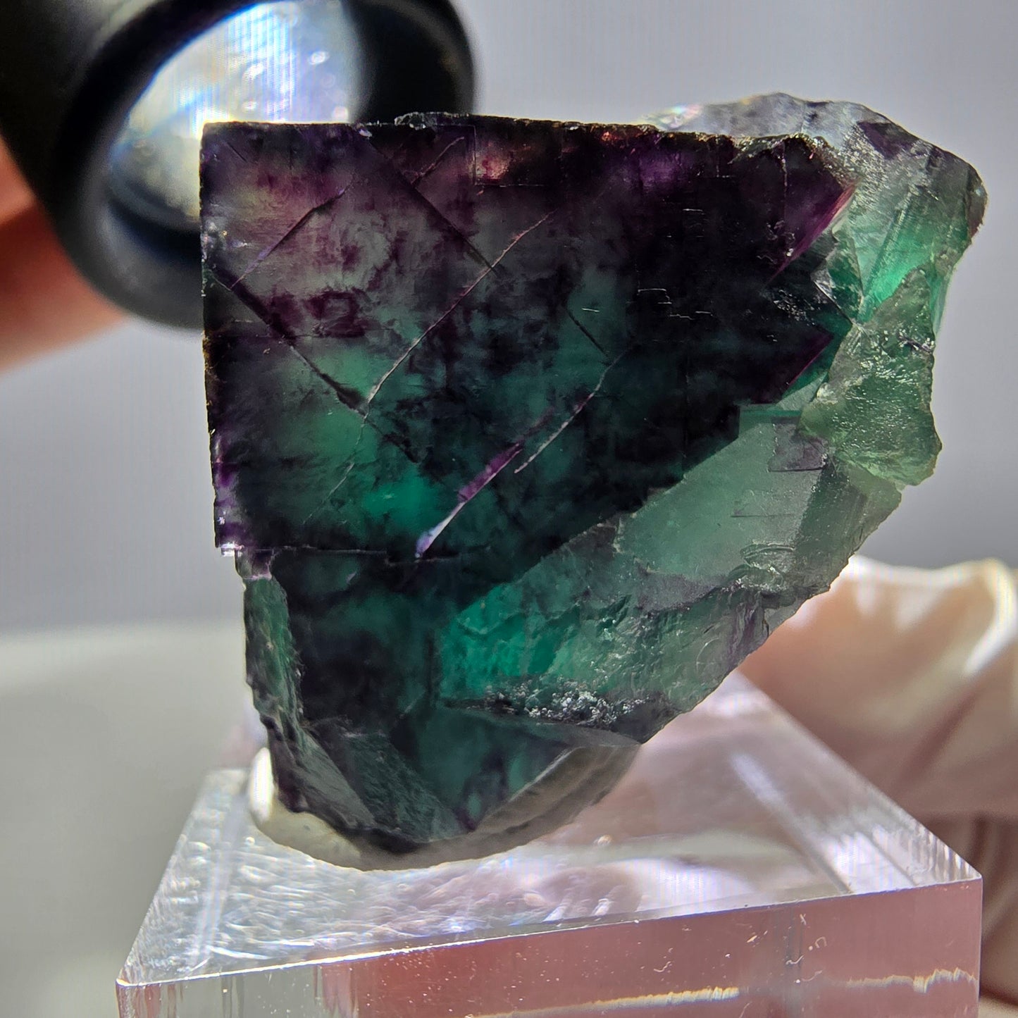 Rare cube de fluorite fantôme parqueté vert violet Okorusu Namibie 41*31*24mm