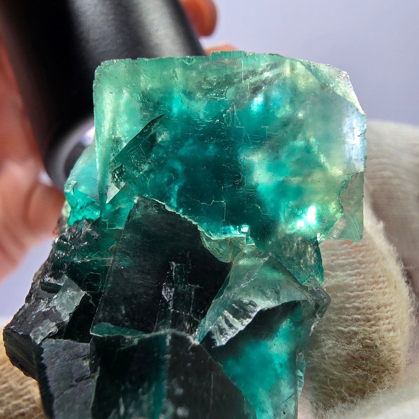 Rare spécimen de cube de fluorite fantôme, parqueté vert Okorusu, Namibie, 44 x 31 x 17 mm