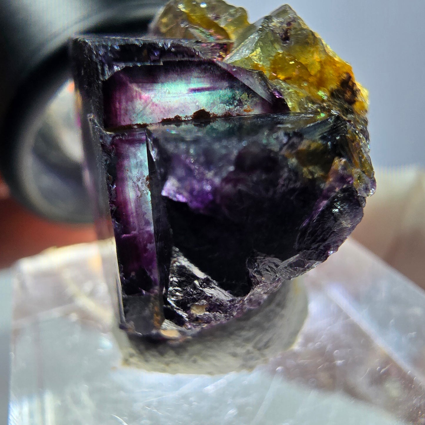 Spécimen de cube de fluorite fantôme, parqueté vert violet Okorusu, Namibie 22*20*17 mm