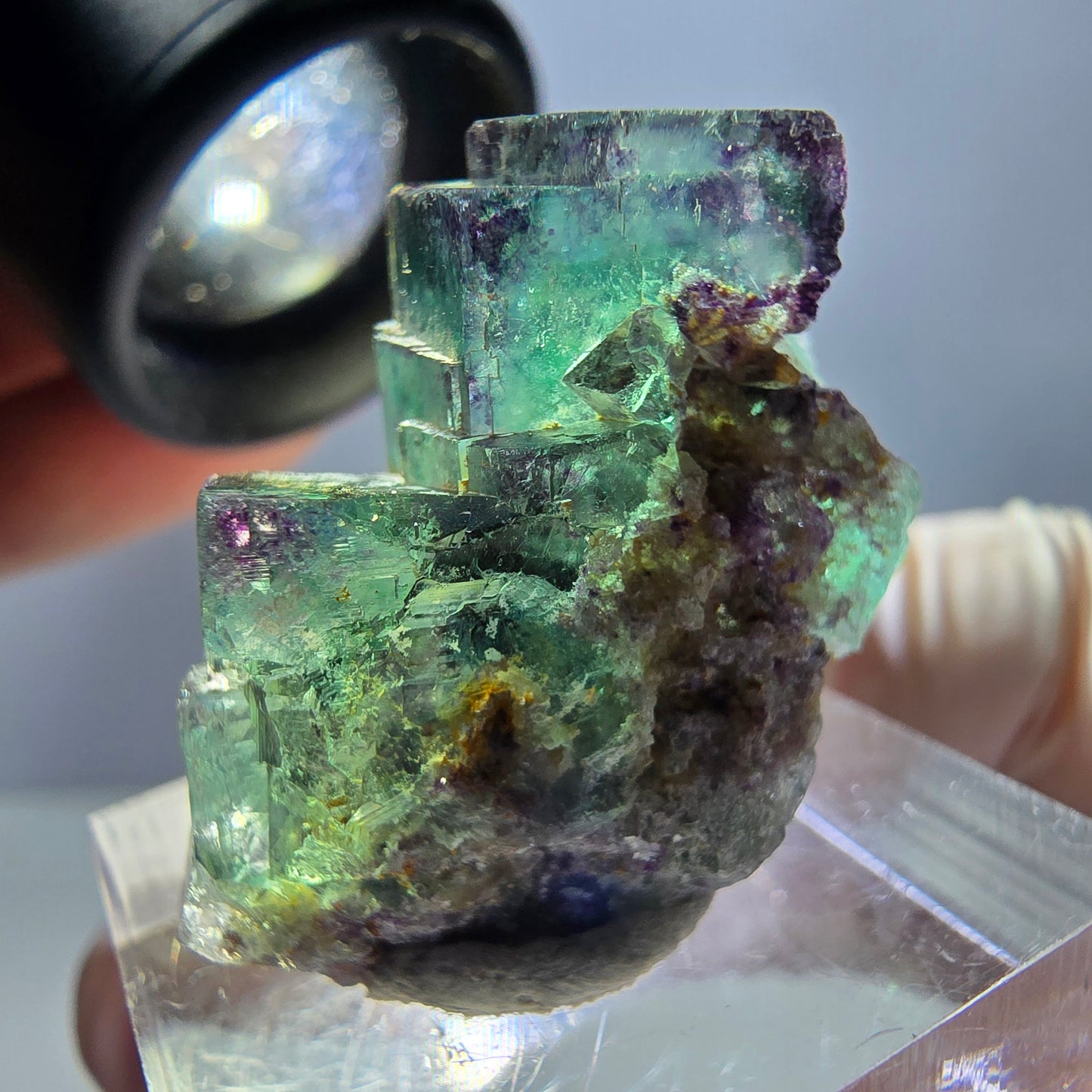 Spécimen de cube de fluorite fantôme, parqueté vert violet Okorusu, Namibie 31*25*18 mm