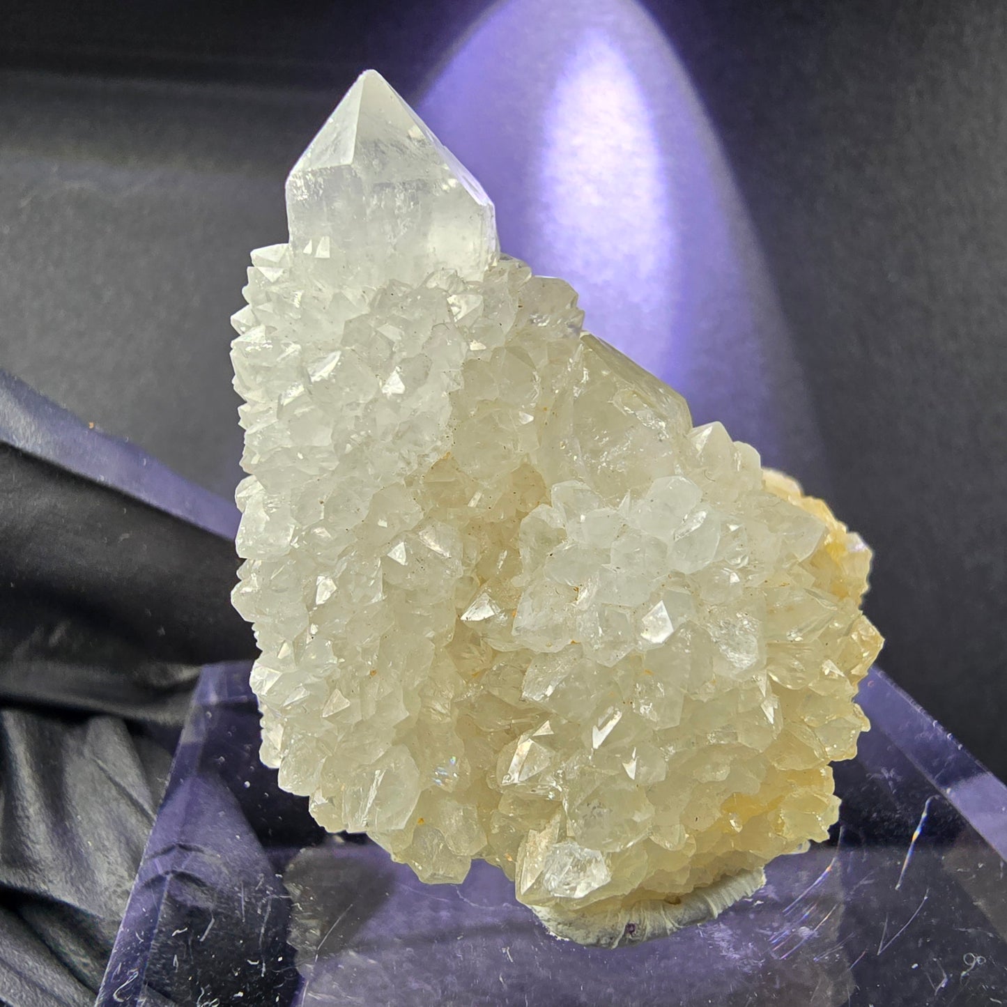 Seltene Kaktusquarz, Spirit Quarz XX Stufe 35*37*30mm Boekenhouthoek, Südafrika