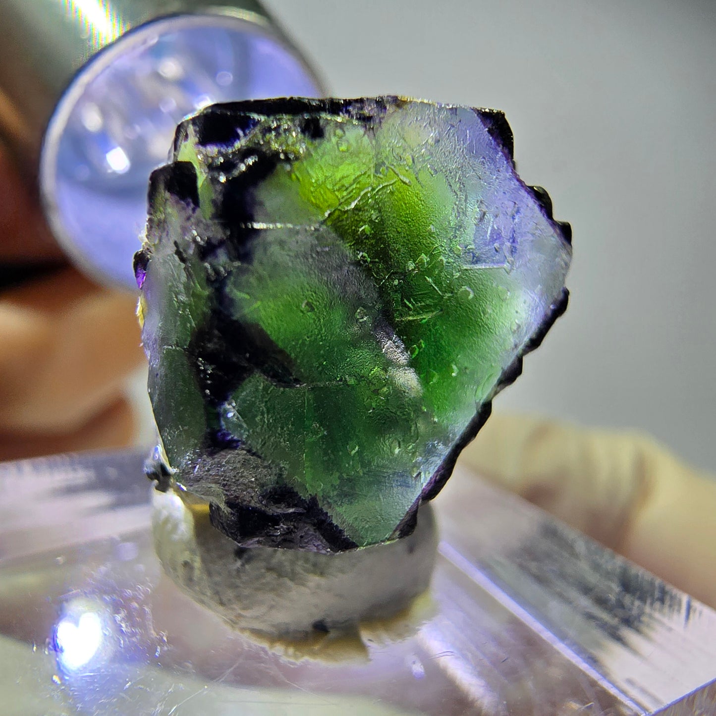 Cube de fluorite fantôme, zonal, muscovite, tourmaline Schorl, Erongo, Namibie, 17 x 14 x 12 mm