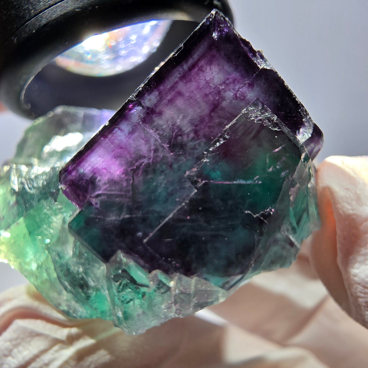 Spécimen de cube de fluorite fantôme, parqueté vert violet Okorusu, Namibie 36*31*29 mm