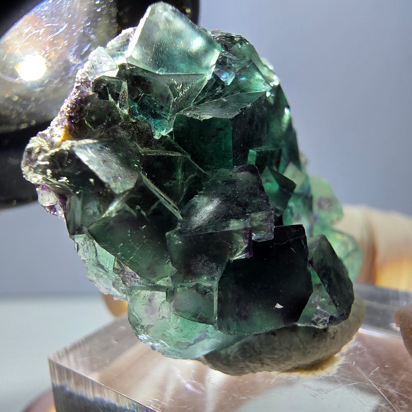 Spécimen de cube de fluorite fantôme, parqueté vert violet Okorusu, Namibie 35*27*13 mm
