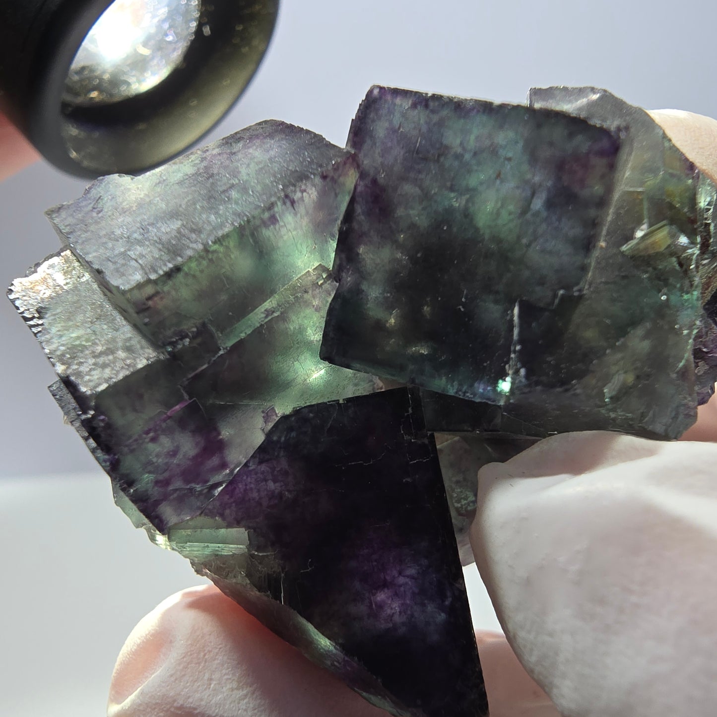 Spécimen de cube de fluorite fantôme parqueté vert violet Okorusu, Namibie 47*36*22mm