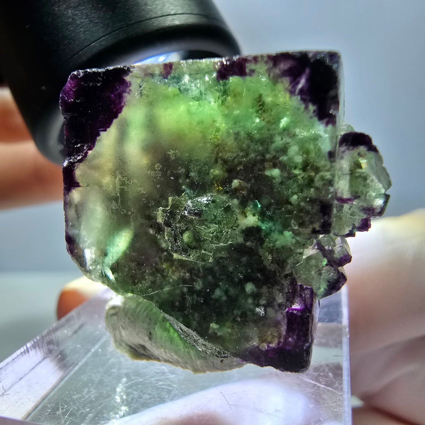Phantom Fluorit Würfel Stufe, parkettiert, zonal Okorusu, Namibia 27*24*14mm