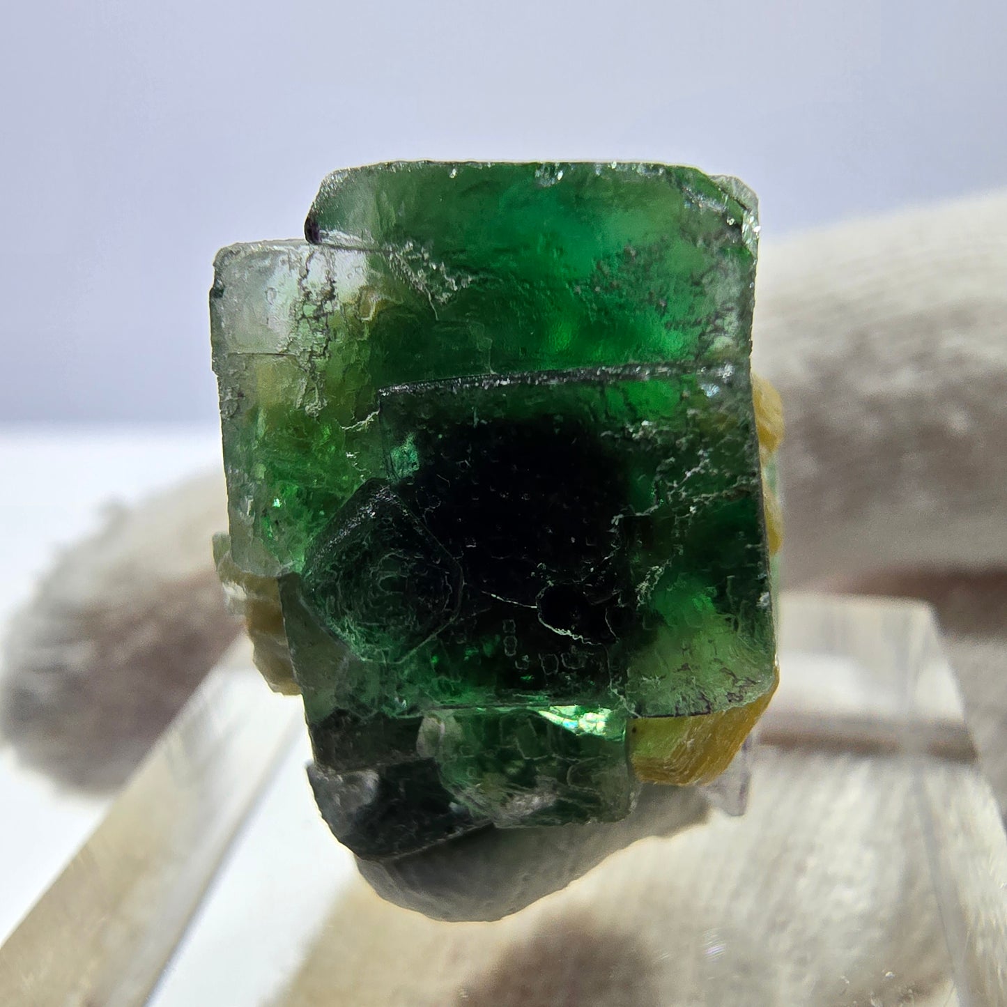 Cube de fluorite fantôme, spécimen de muscovite, Erongo, Namibie, 20 x 16 x 15 mm