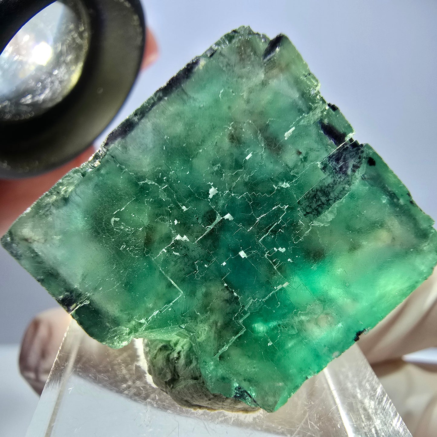 Cube de fluorite fantôme transparente parquetée, vert Okorusu, Namibie 24 x 23 x 21 mm