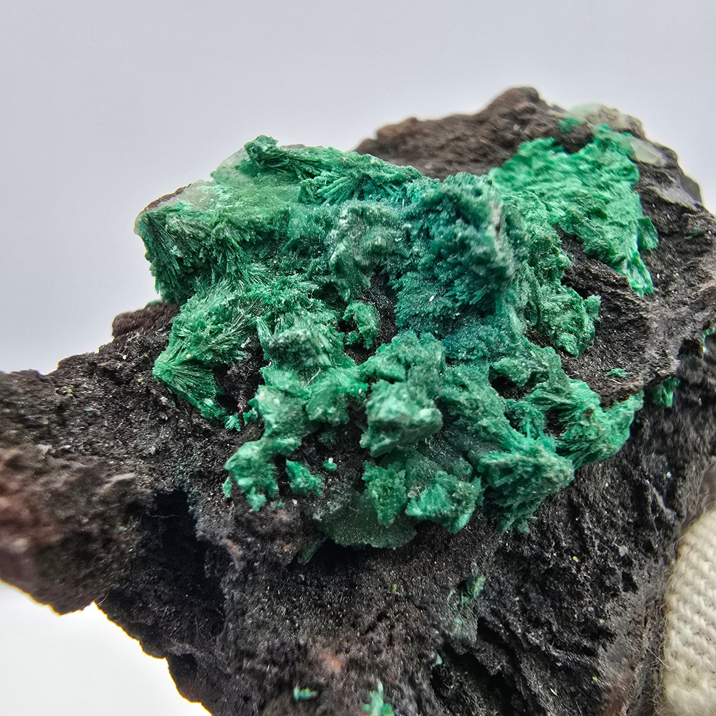 Seltene Malachit auf Matrix Stufe Kaokoveld, Namibia 52*43*22mm Sammlung
