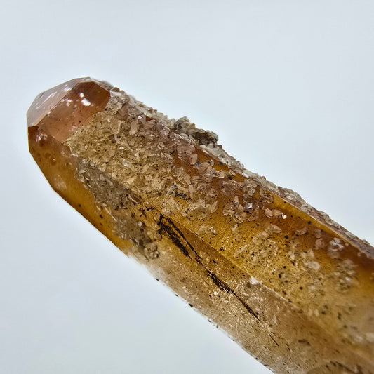 Quartz fumé Harlequin avec formation de fer DT Goboboseb Namibie 62*18*13mm Collection