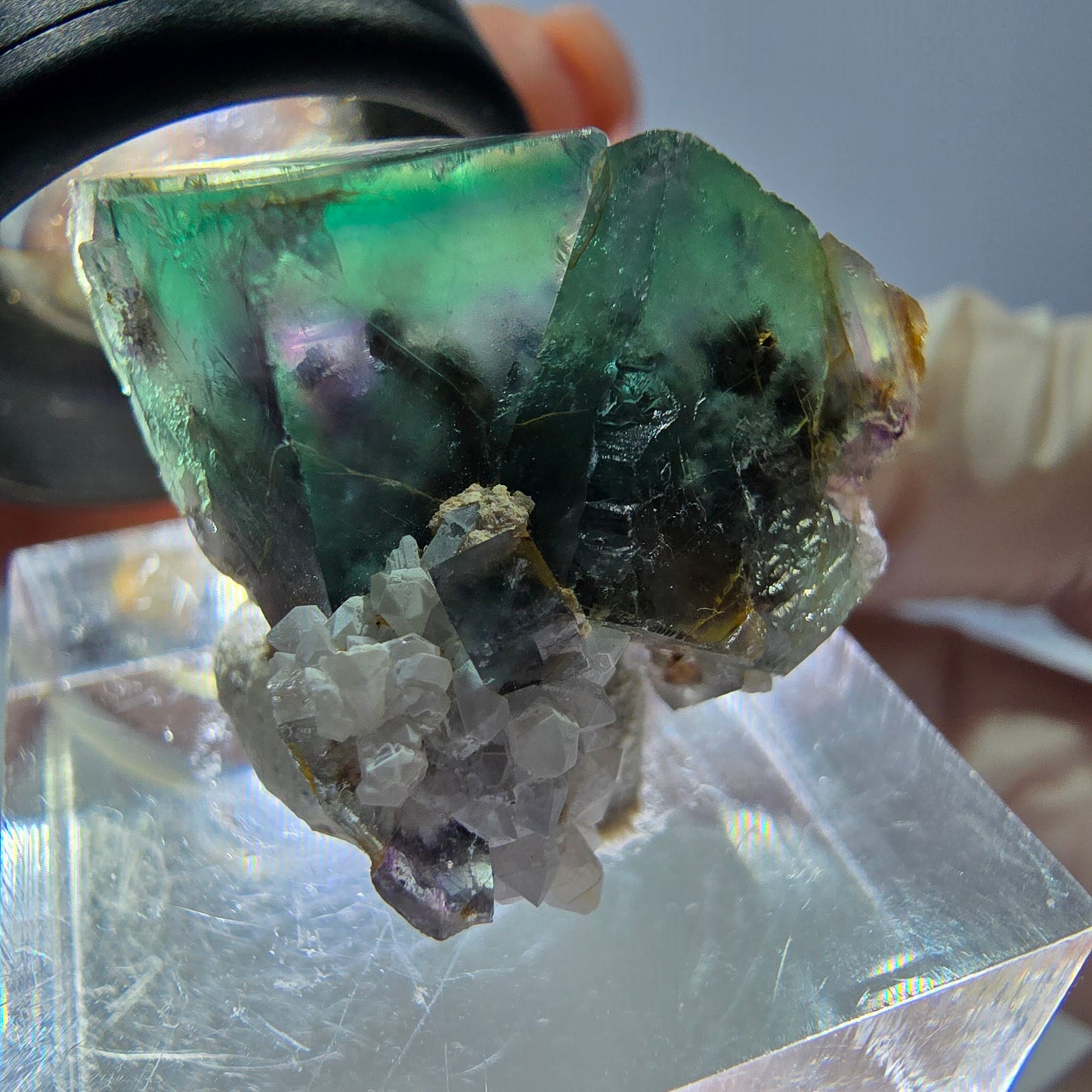 Spécimen de cube de fluorite fantôme, parqueté vert violet Okorusu, Namibie 25*24*16 mm