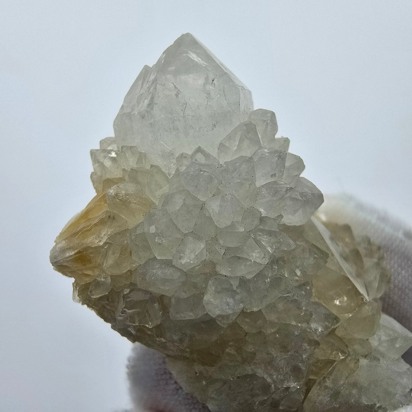 Kaktusquarz, Spirit Quarz XX Stufe Boekenhouthoek, Südafrika 48*26*20mm Sammlung