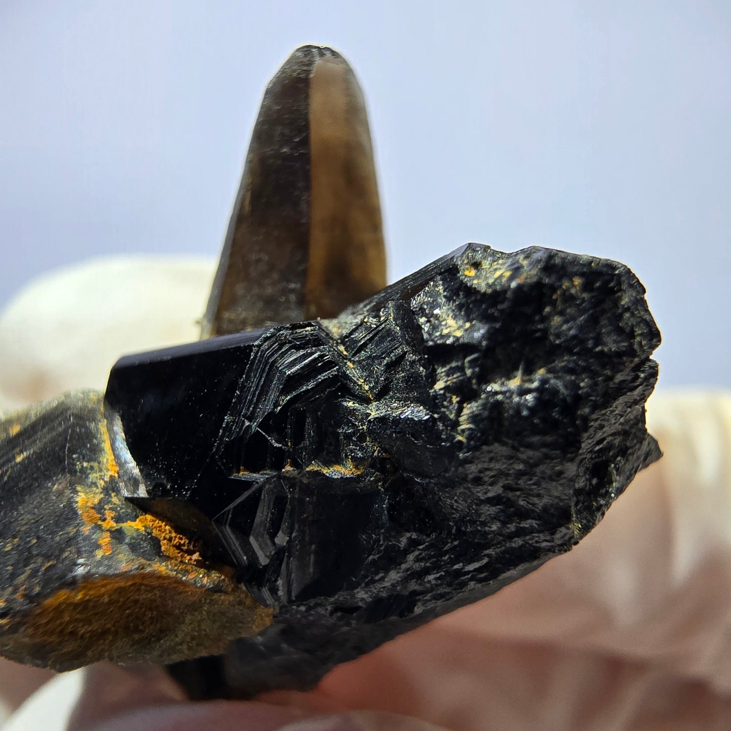 Sym. Tourmaline Schörl, stade de quartz fumé Erongo, Namibie 42*25*20mm