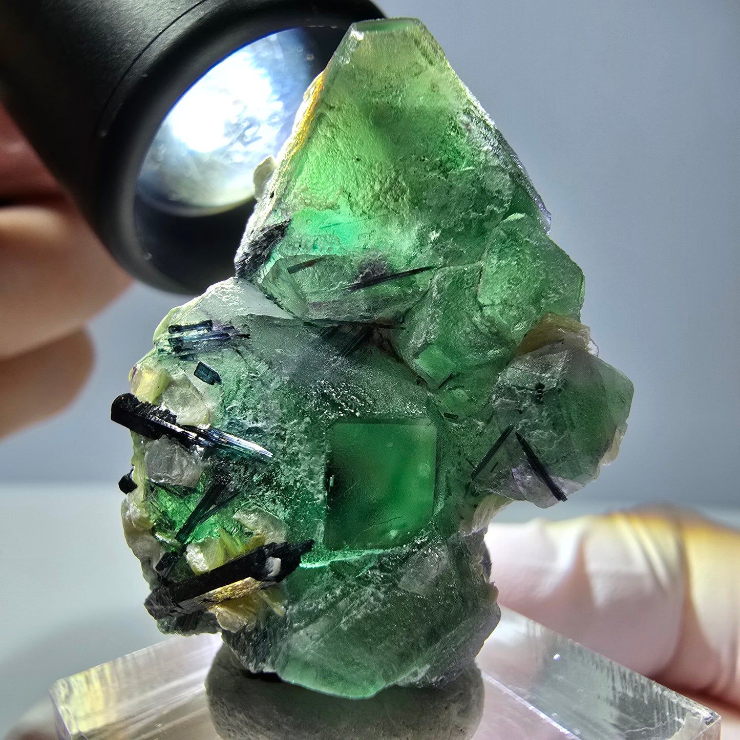 Cube de fluorite fantôme hexagonal, muscovite, tourmaline Schörl Erongo, Namibie 39*25*21mm