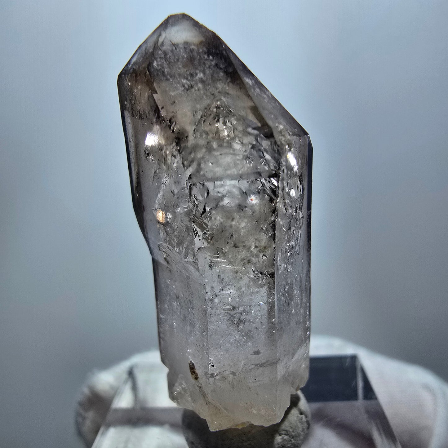 Enhydro Phantom Rauchquarz Zepter, 1x Blase Goboboseb, Namibia 38*14*14mm
