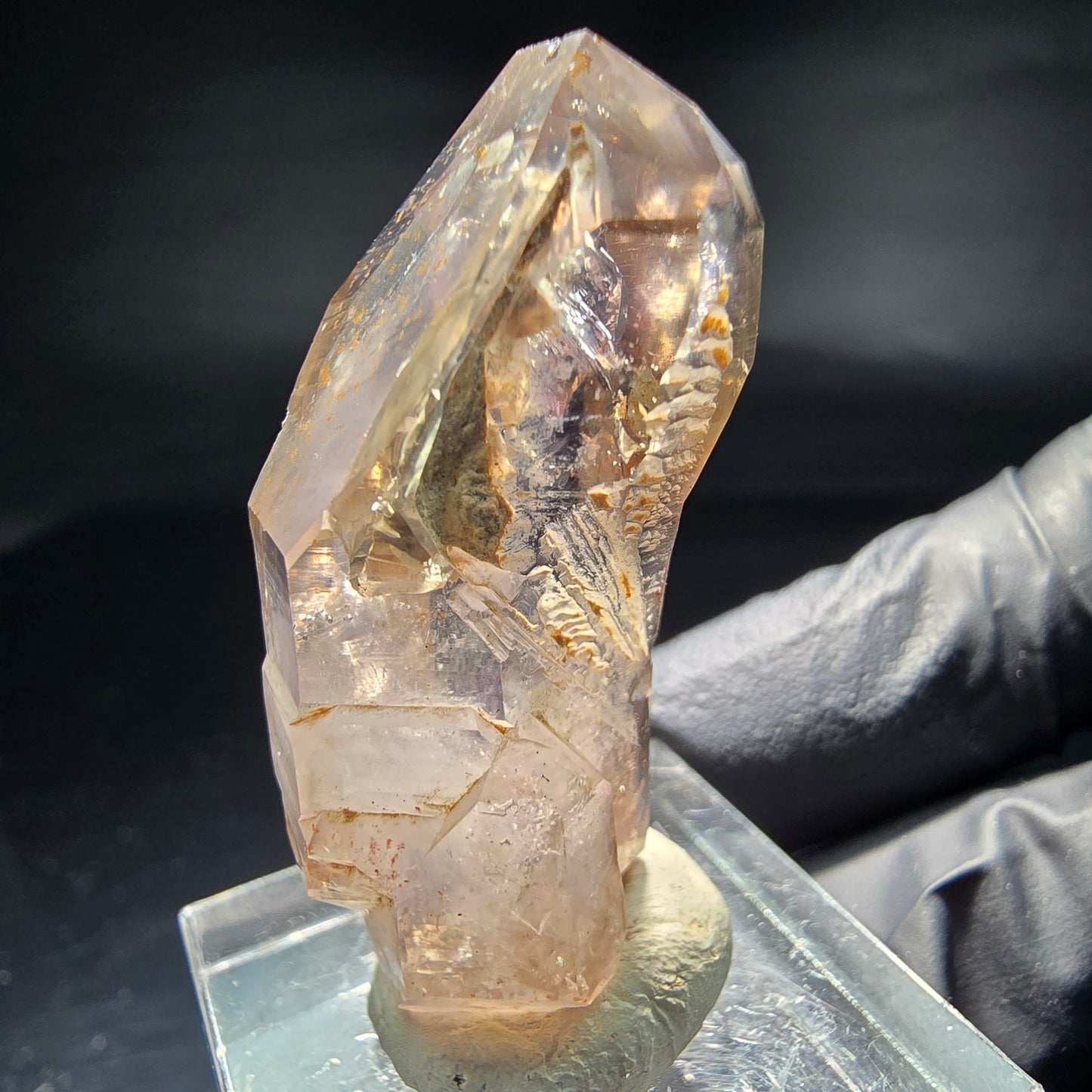 Klare Phantom Amethyst Fenster Zepter Spitze Goboboseb Namibia 38*16*18mm