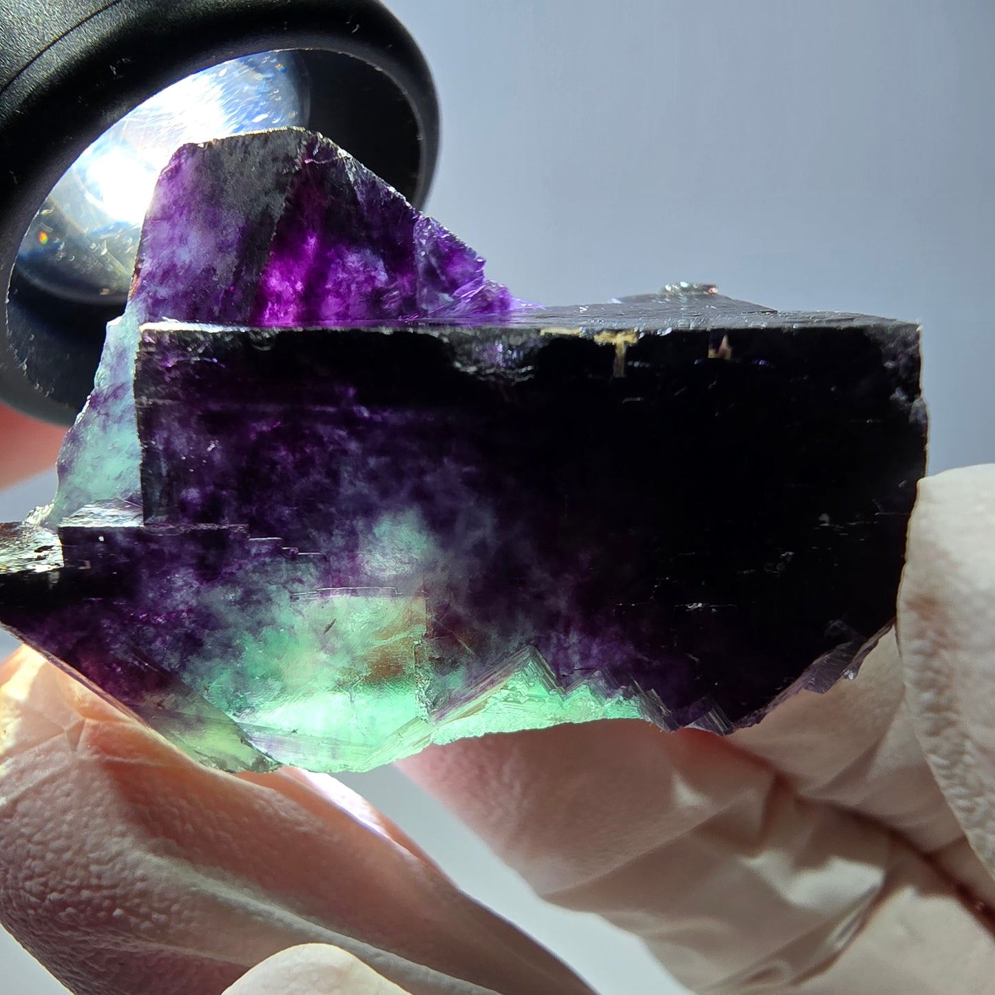 Spécimen de cube de fluorite fantôme, parqueté vert violet Okorusu, Namibie 39*25*29 mm