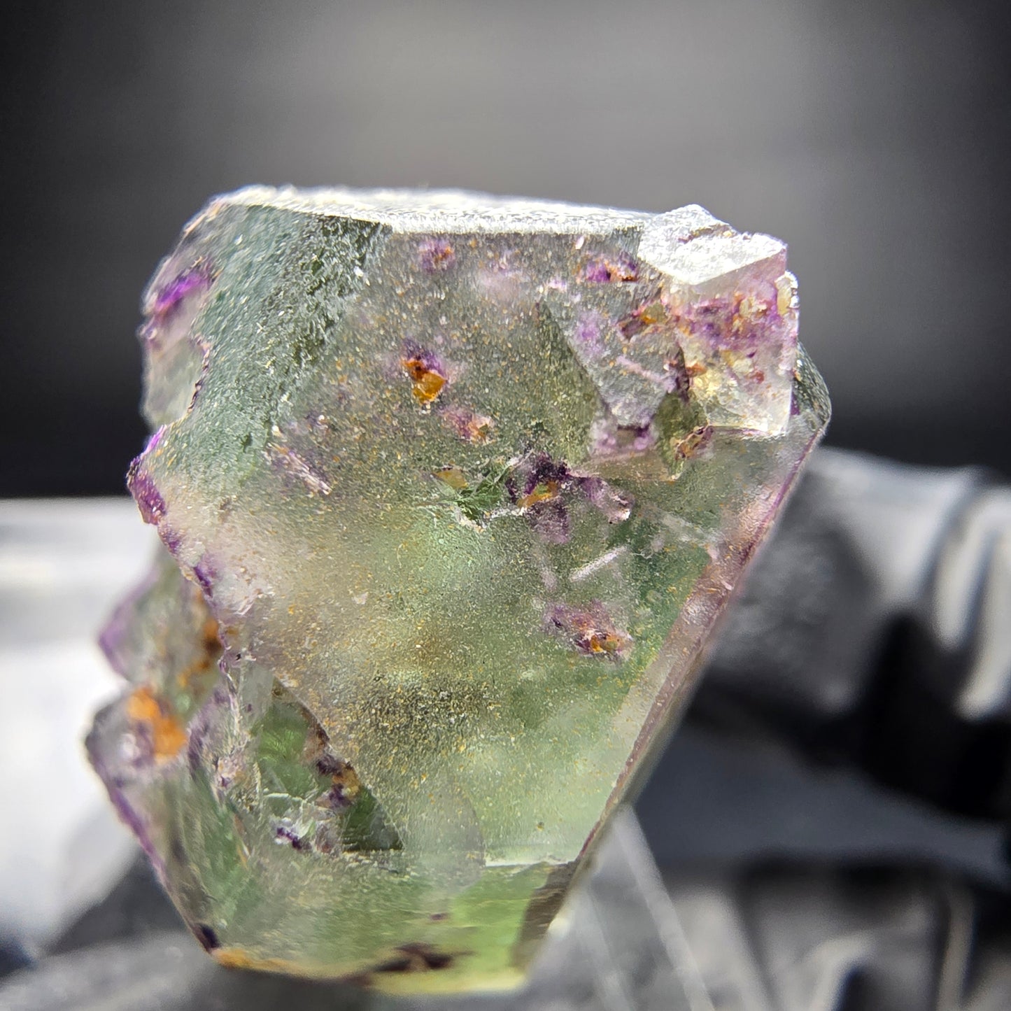Zonar Phantom Fluorite Cube Tier Vert Violet Erongo Namibie 29*20*17mm