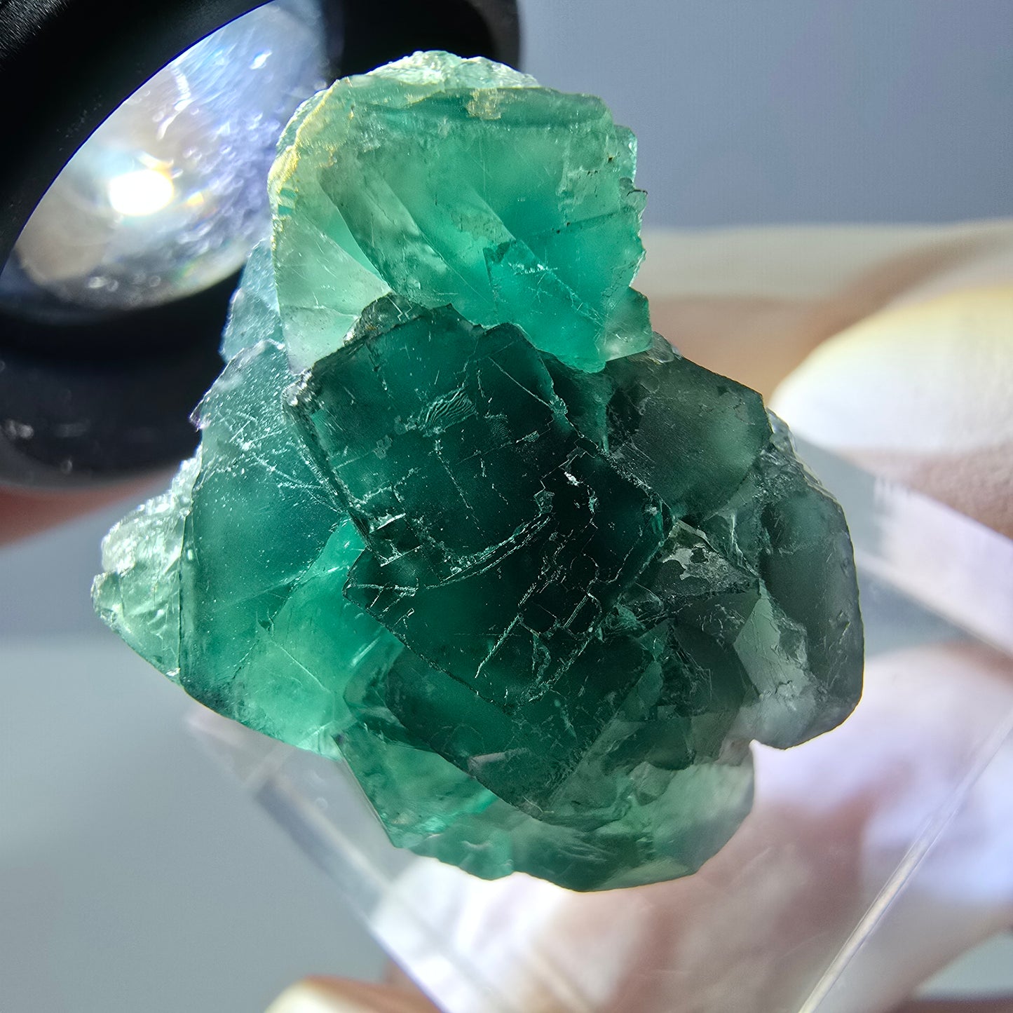 Phantom Fluorit Würfel Stufe, grün parkettiert Okorusu, Namibia 28*24*18mm