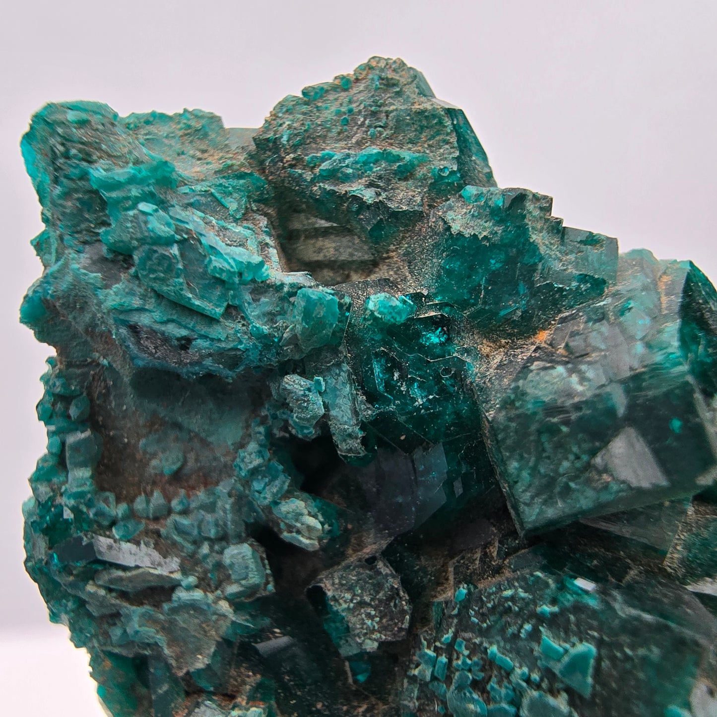 Seltene Diotas XX mit Azurit Stufe Kaokoveld, Namibia 33*30*8mm Sammlung