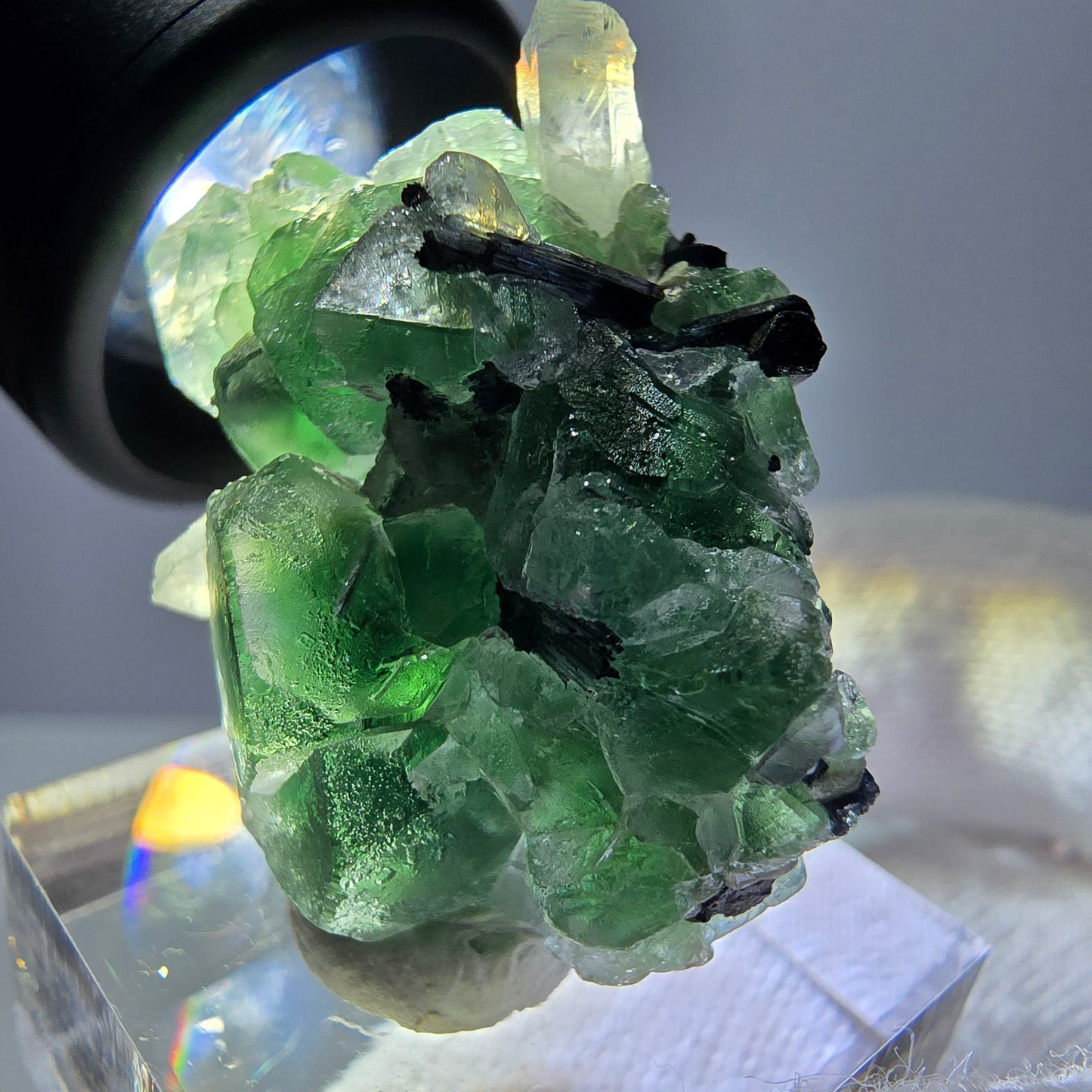 Spécimen de fluorite fantôme, tourmaline Schorl et quartz fumé, Erongo, Namibie, 31 x 25 x 17 mm
