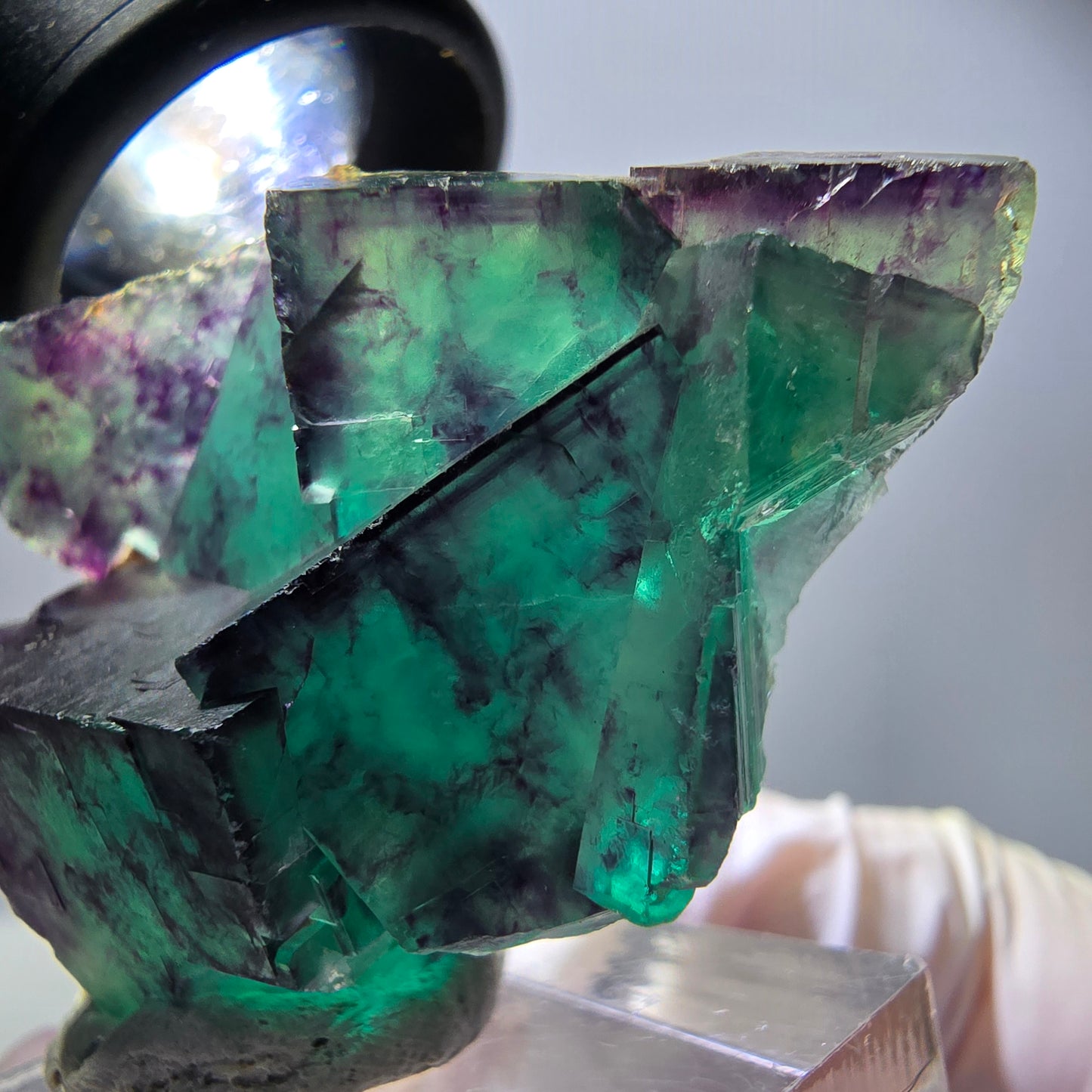 Spécimen rare de cube de fluorite, vert violet, Okorusu, Namibie, 40 x 31 x 17 mm
