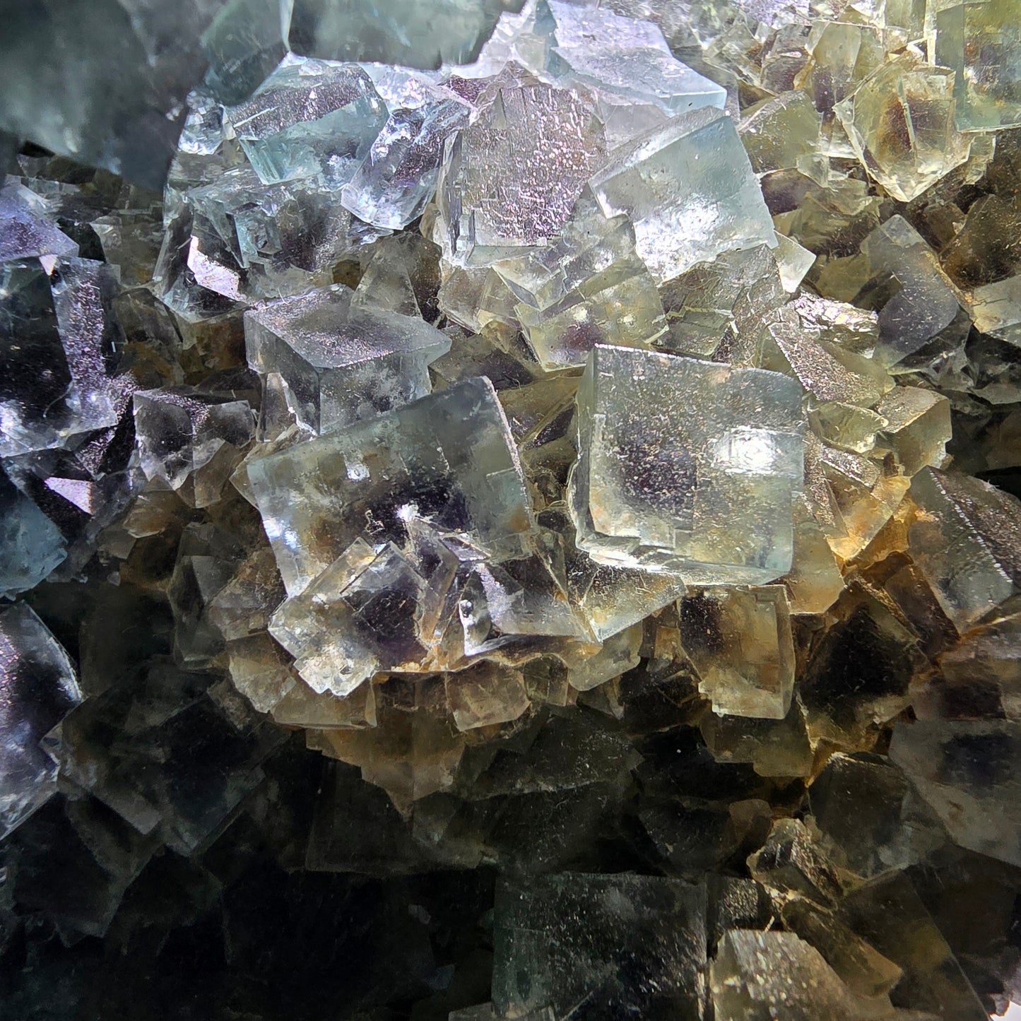 Spécimen de cube de fluorite fantôme XL, parqueté, vert violet Okorusu, Namibie 181*124*74mm