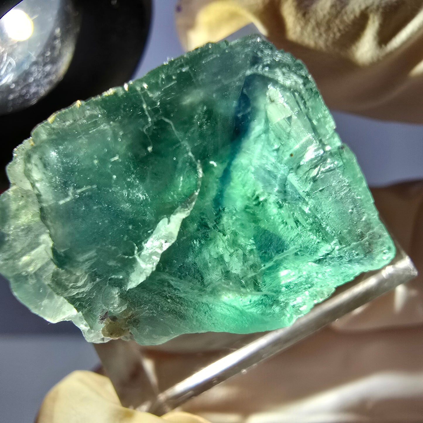 Cube de fluorite fantôme transparente parquetée, vert Okorusu, Namibie 20 x 18 x 15 mm