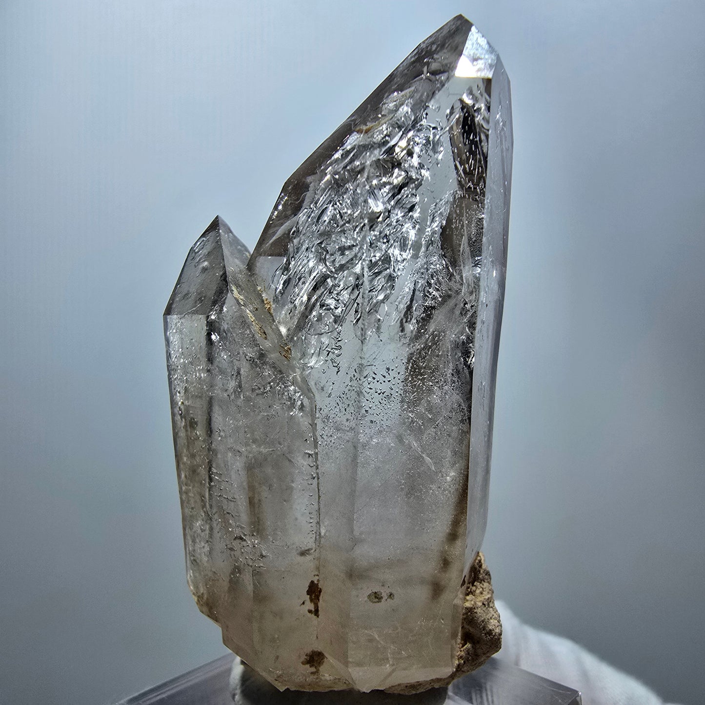 Enhydro Phantom Rauchquarz Fenster Zepter, 1x Blase Goboboseb Namibia 60*27*21mm