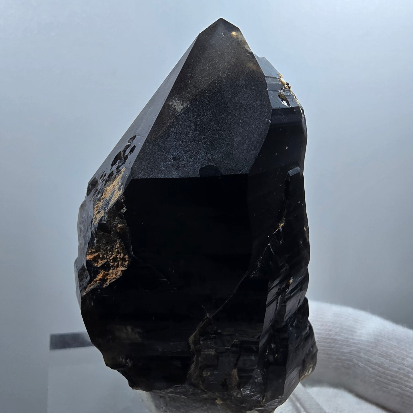 Sceptre de poche en quartz fumé squelette fantôme lémurien, Goboboseb de la Saint-Valentin, Namibie, 66 x 41 x 36 mm
