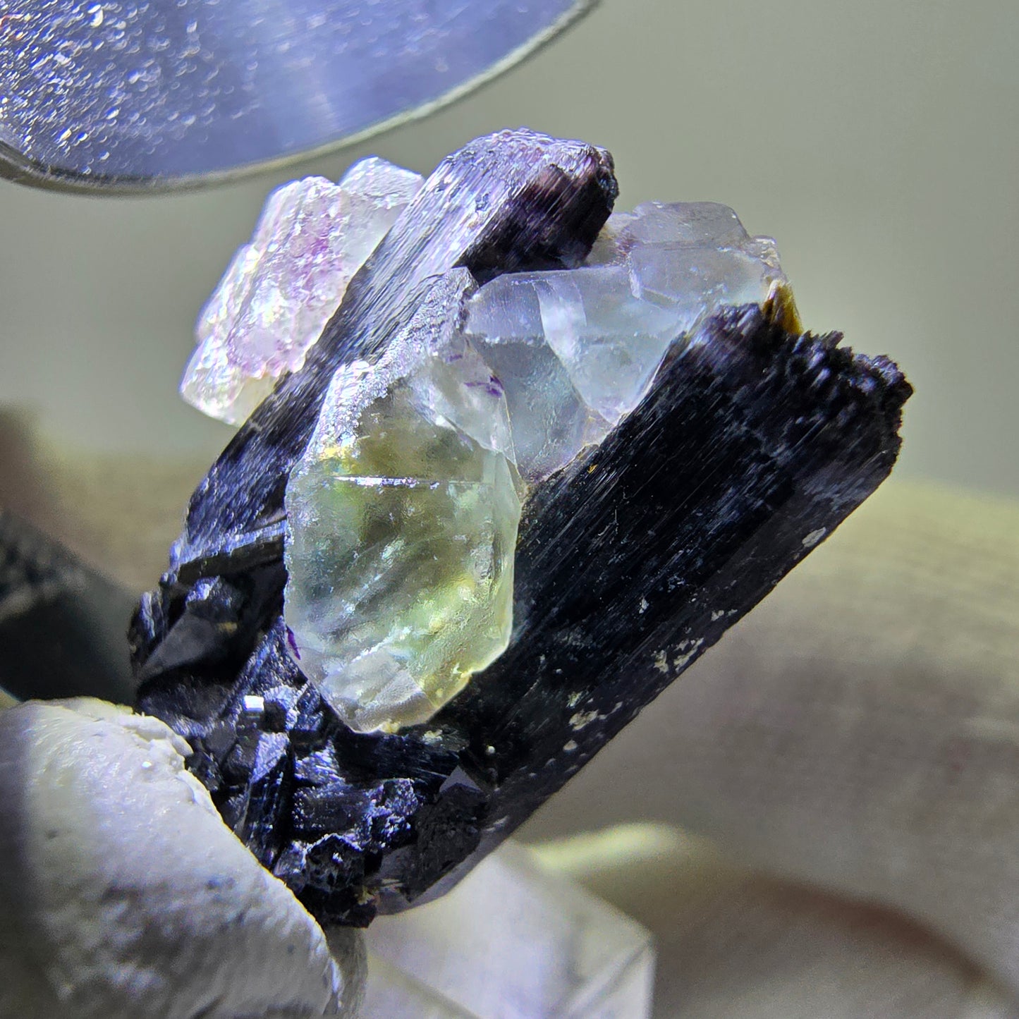 Spécimen de tourmaline Schorl hexagonale en fluorite fantôme, Erongo, Namibie, 21 x 17 x 12 mm