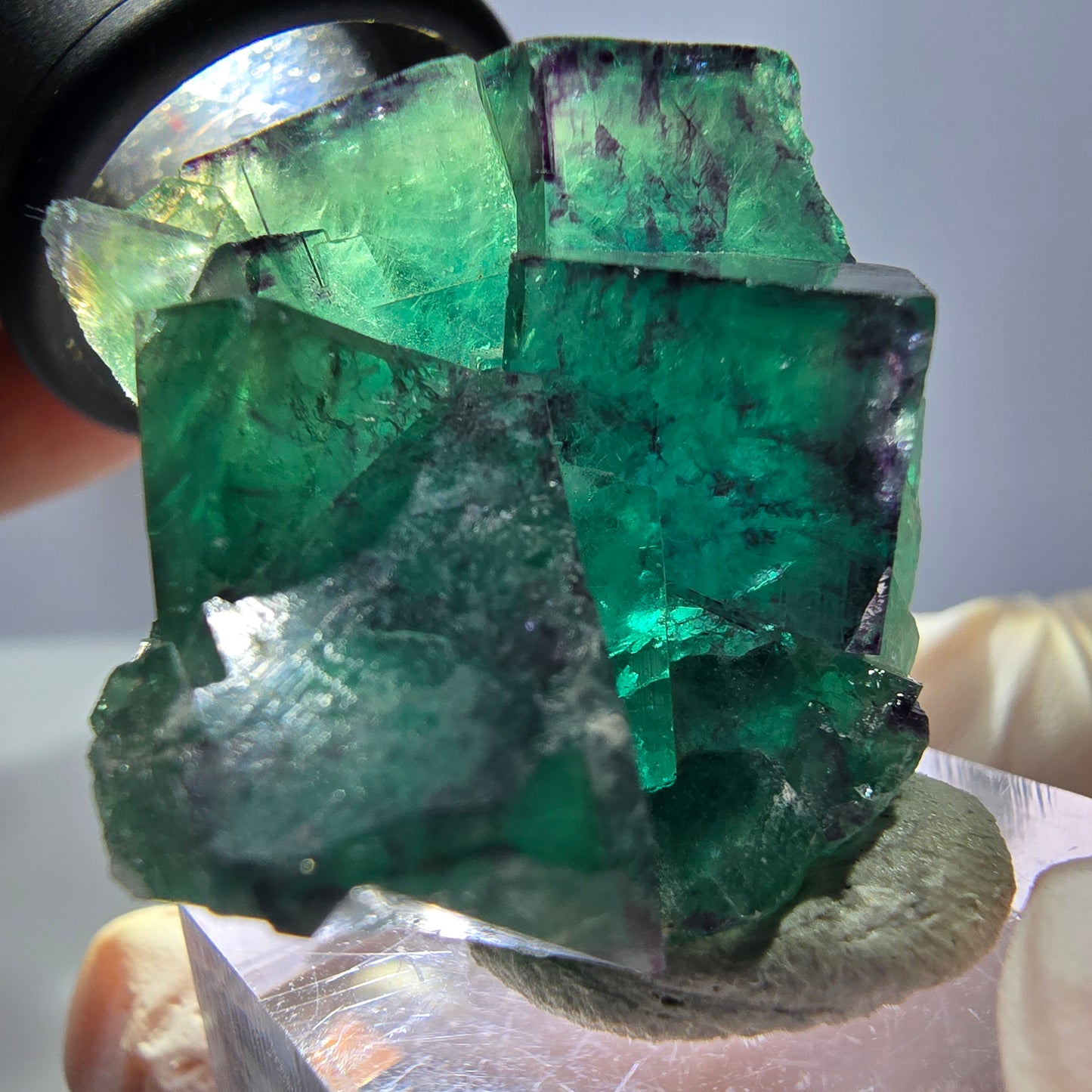Spécimen de cube de fluorite fantôme, parqueté vert violet Okorusu, Namibie 32 x 30 x 20 mm