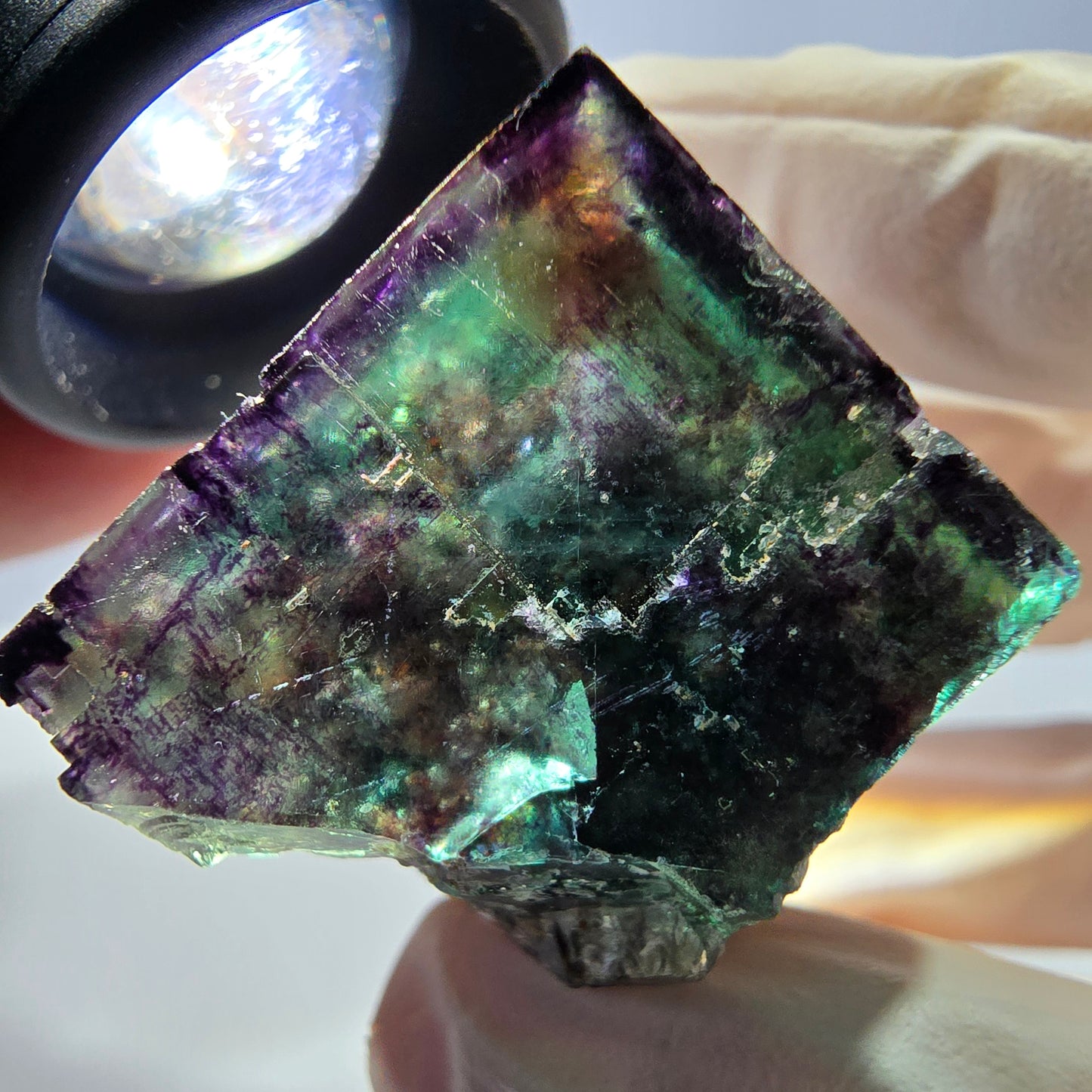Phantom Fluorit Würfel Stufe, parkettiert grün lila Okorusu, Namibia 28*26*25mm