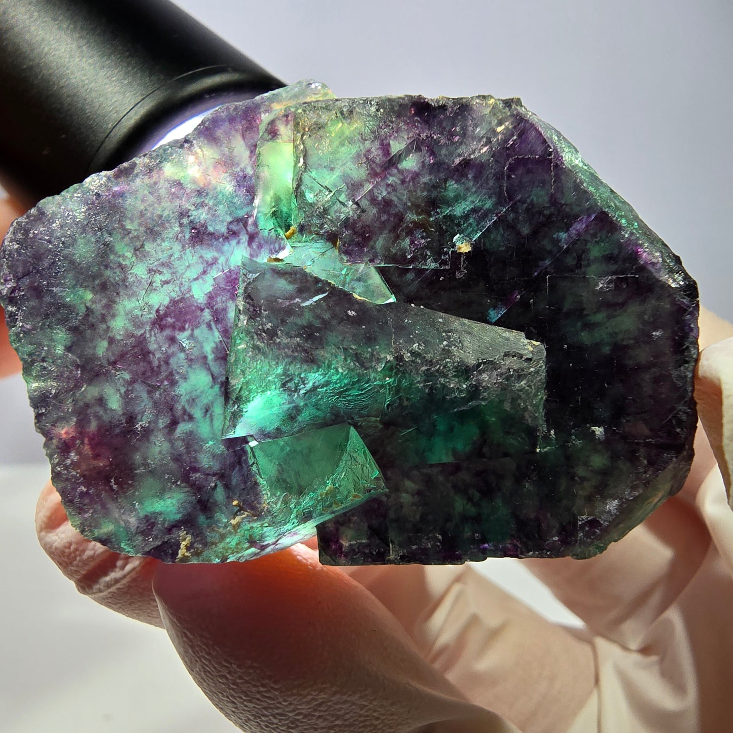 Spécimen de cube de fluorite fantôme, parqueté vert violet Okorusu, Namibie 51*35*16 mm