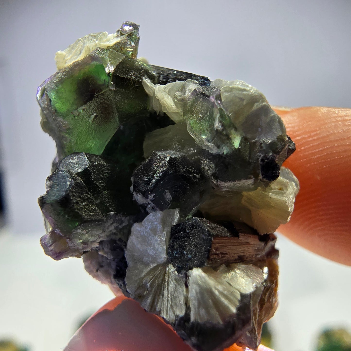 Lot de 16 fluorites fantômes, hyalites, tourmalines Schörl, muscovites, marches d'Erongo, Namibie