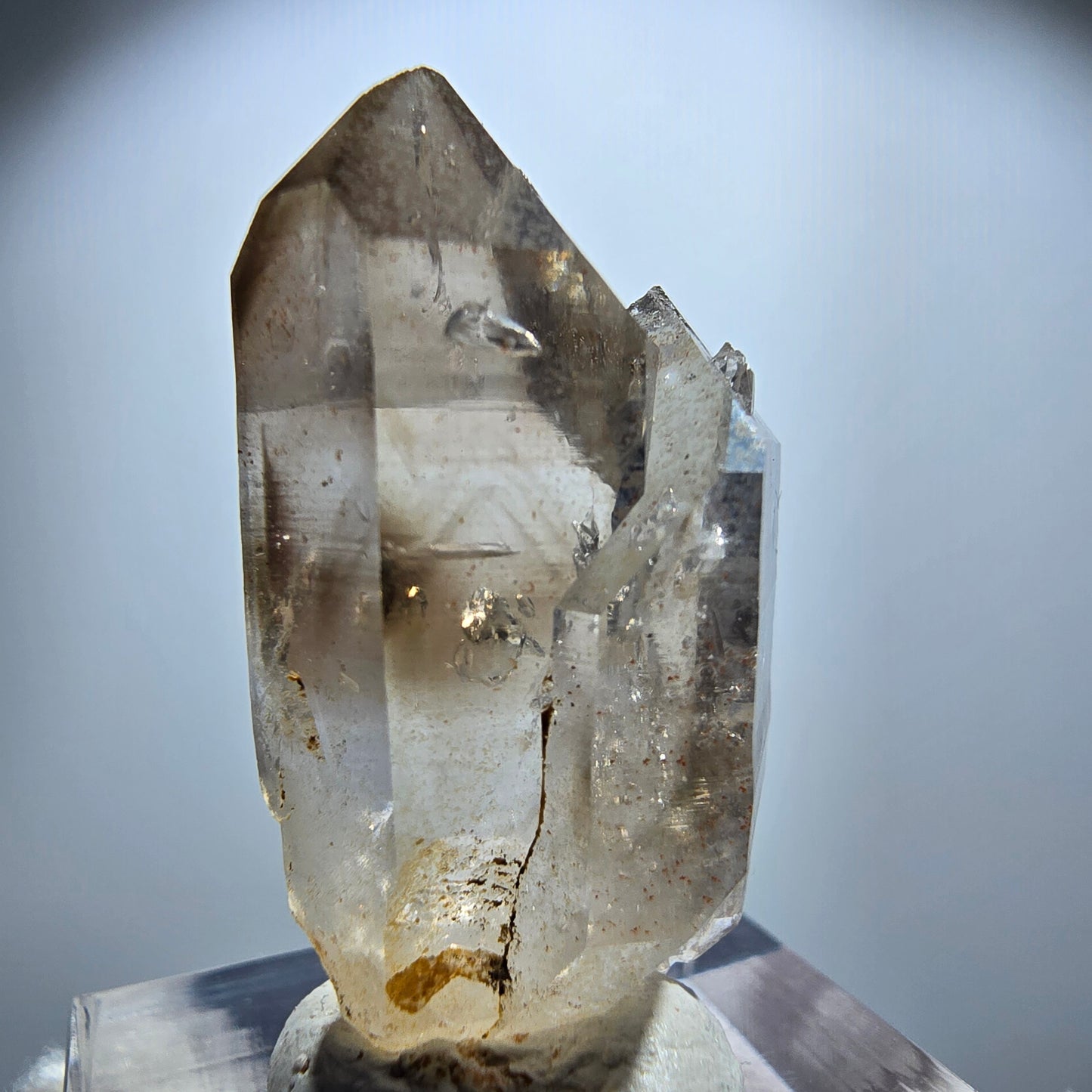 Enhydro Phantom Rauchquarz Zepter Stufe, 1x Blase Goboboseb, Namibia 33*19*15mm