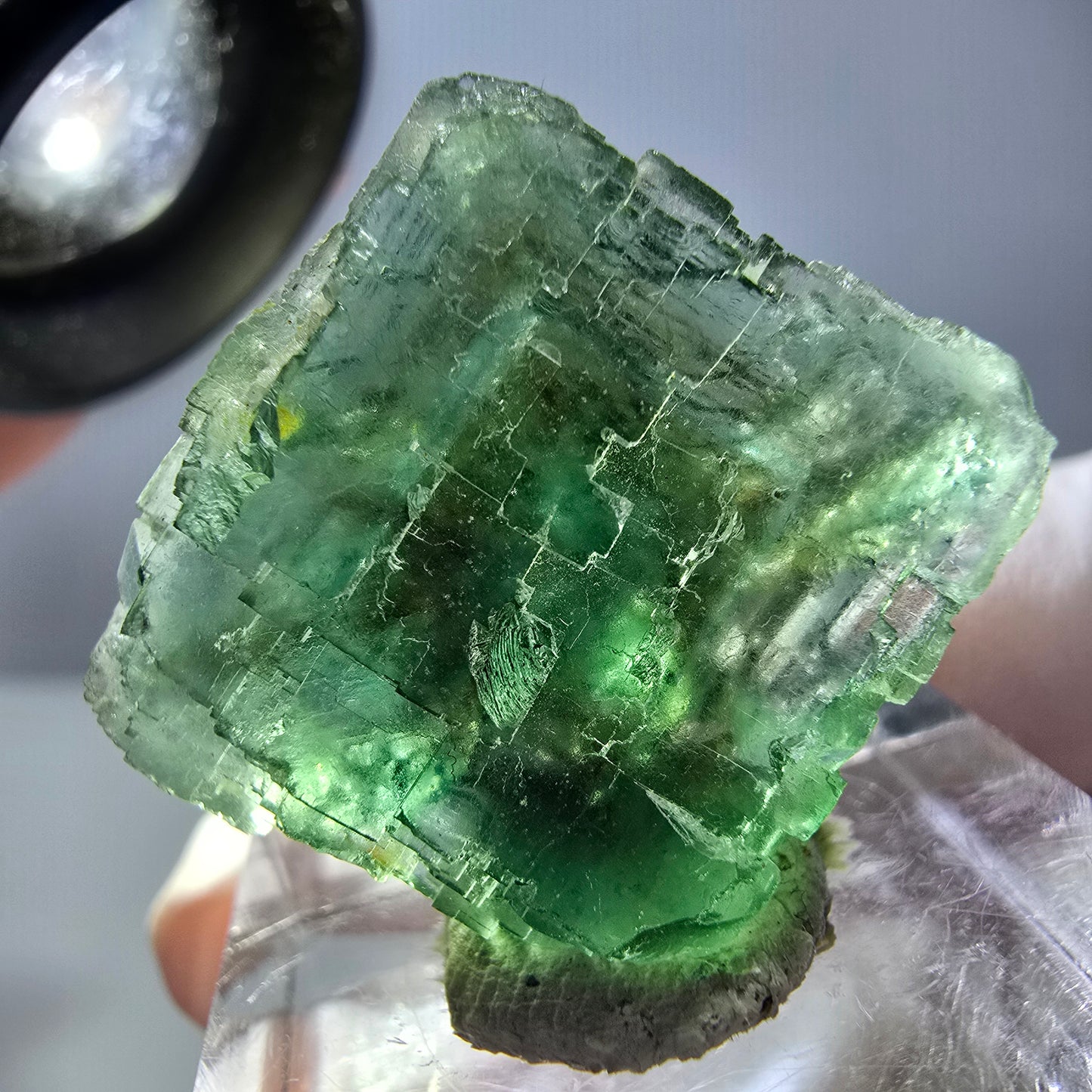 Cube de fluorite fantôme transparente parquetée, vert Okorusu, Namibie 23 x 21 x 15 mm