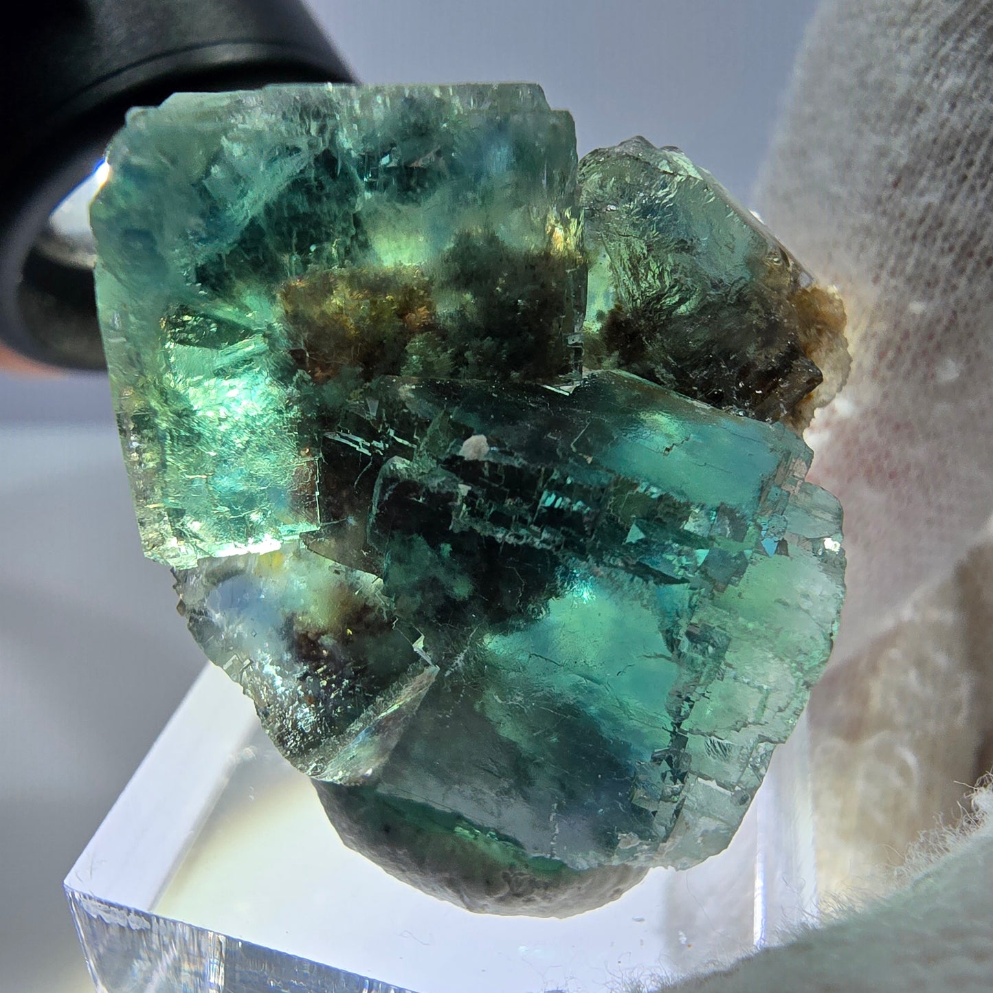 Spécimen de cube de fluorite fantôme parqueté vert turquoise Okorusu, Namibie 37*32*22mm