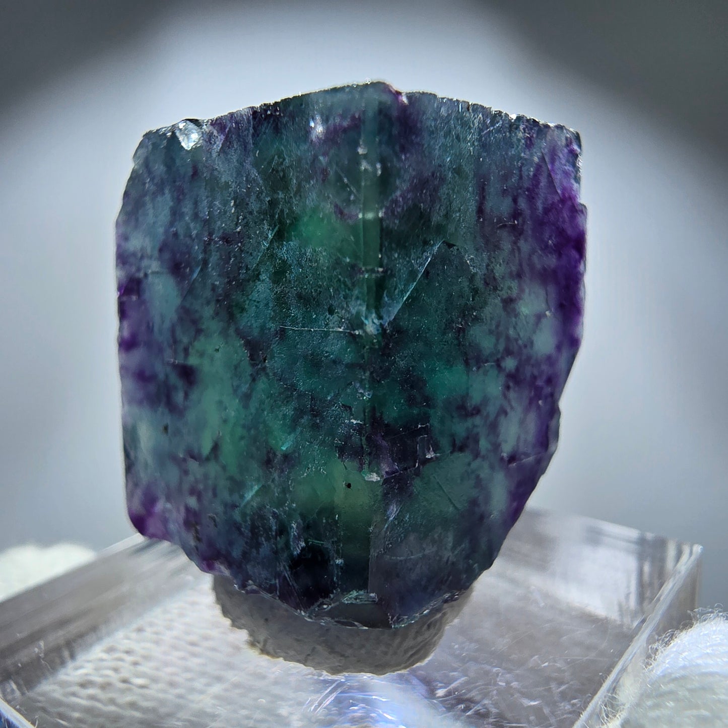 Spécimen rare de cube de fluorite fantôme, vert zonal et violet, Okorusu, Namibie, 27 x 27 x 16 mm