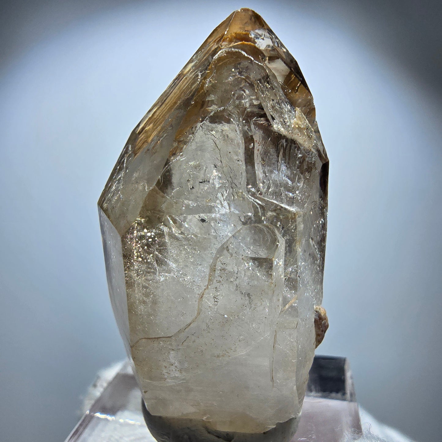Enhydro Phantom Rauchquarz Fenster DT Zepter Goboboseb, Namibia 41*22*17mm