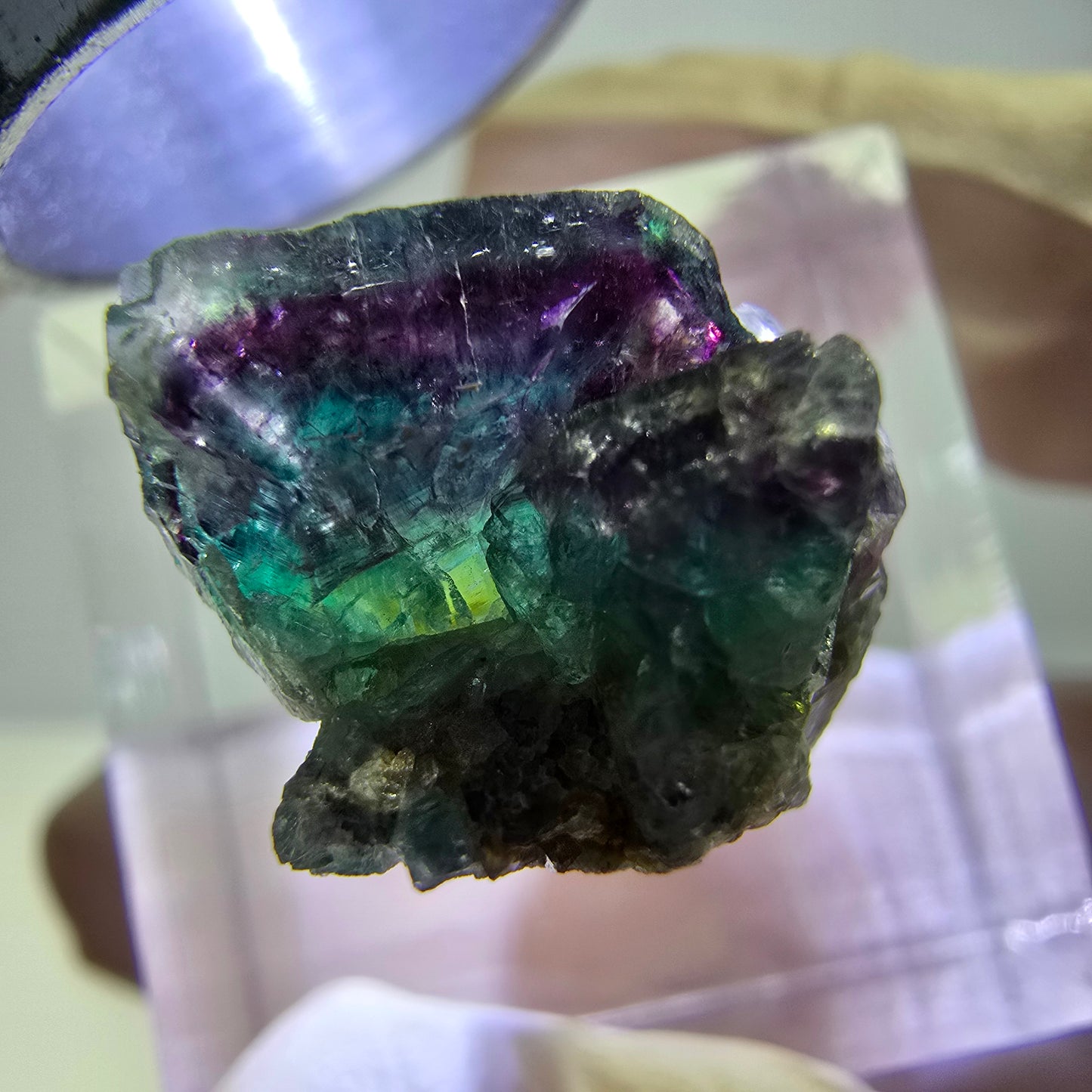 Spécimen de cube de fluorite fantôme, vert violet, Okorusu, Namibie, 18 x 14 x 12 mm