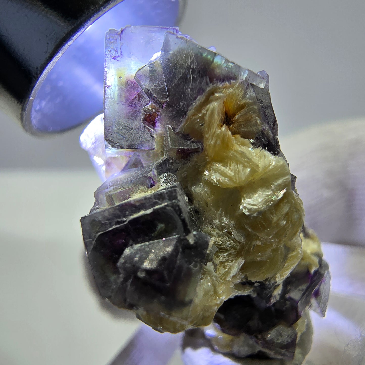 Cubes de fluorite fantôme colorés, spécimen de muscovite, Erongo, Namibie, 28 x 20 x 20 mm
