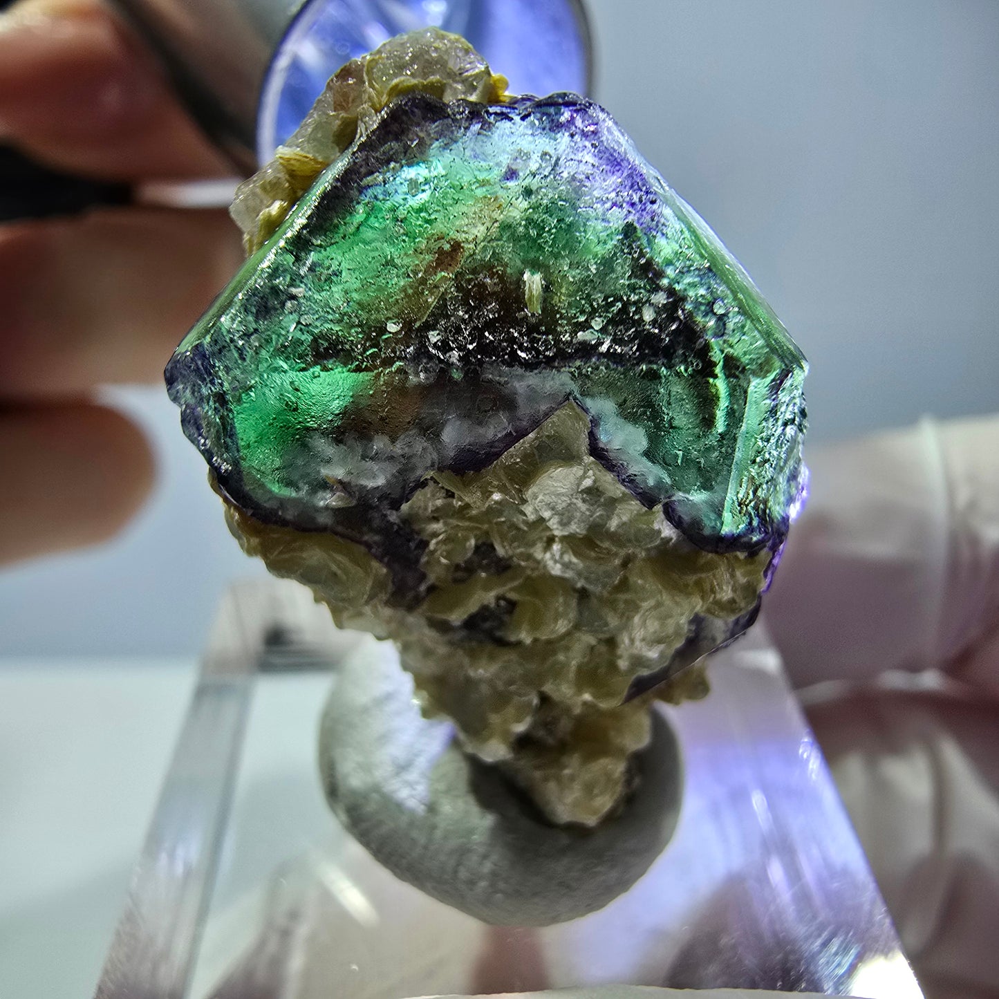 Cube hexagonal de fluorite fantôme, muscovite, tourmaline Schörl, Erongo, Namibie 27 x 20 x 18 mm