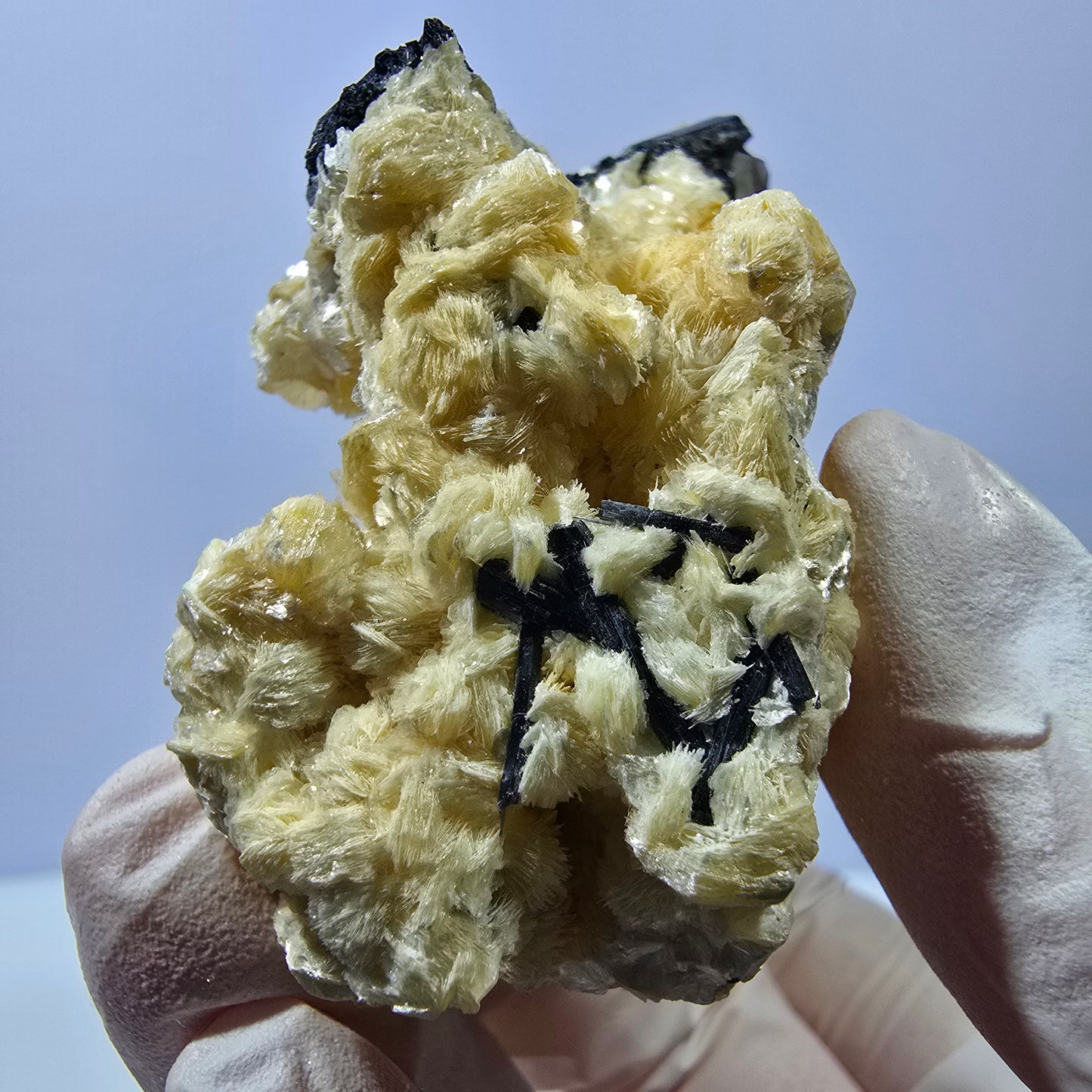 Spécimen de fluorite fantôme, tourmaline scholle, muscovite, Erongo, Namibie, 78 x 58 x 33 mm